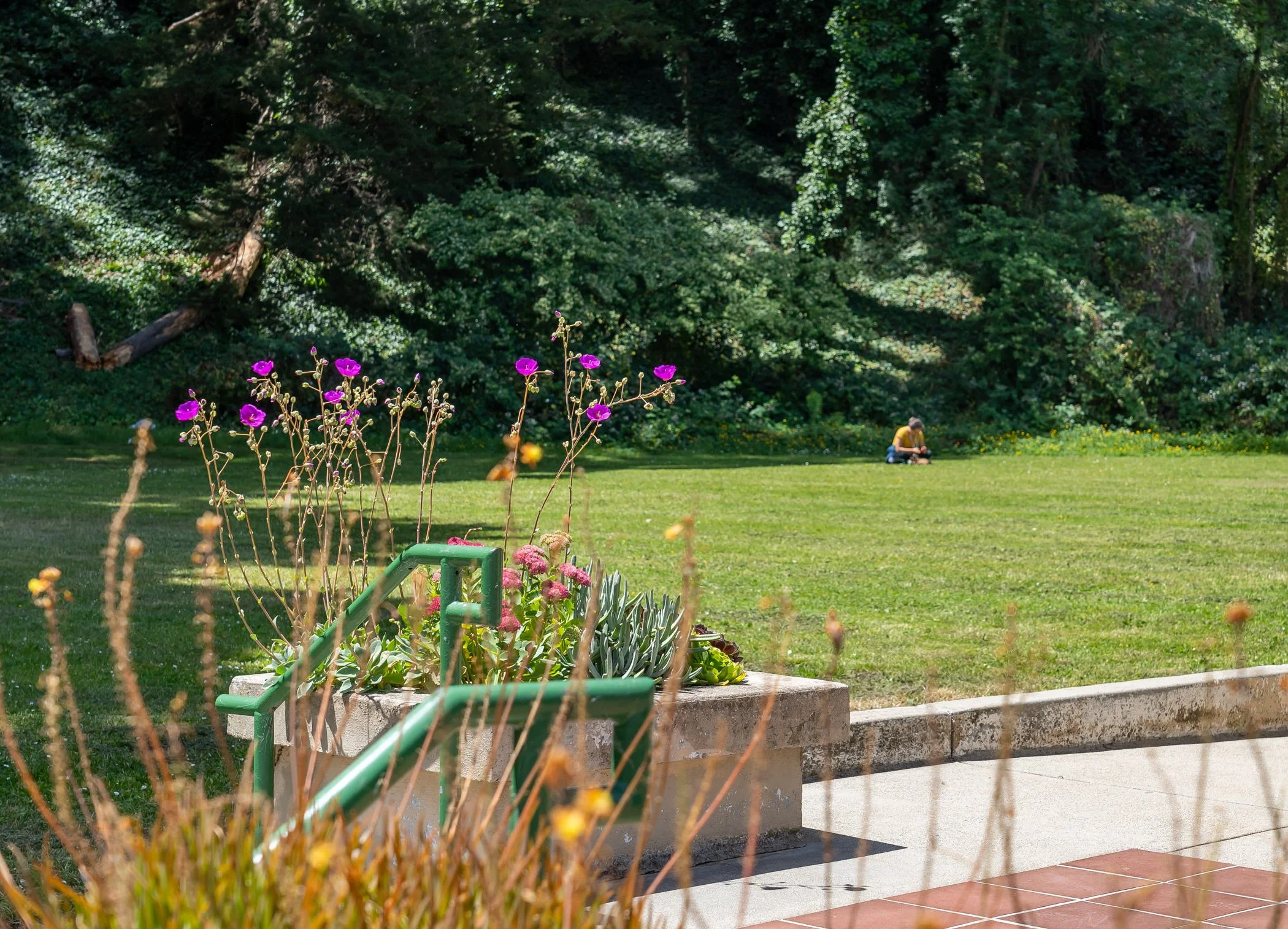 A garden with vibrant purple and pink flowers in a stone planter, adjacent to a concrete patio, with lush green grass and dense trees in the background. A person sits on the grass in the distance.