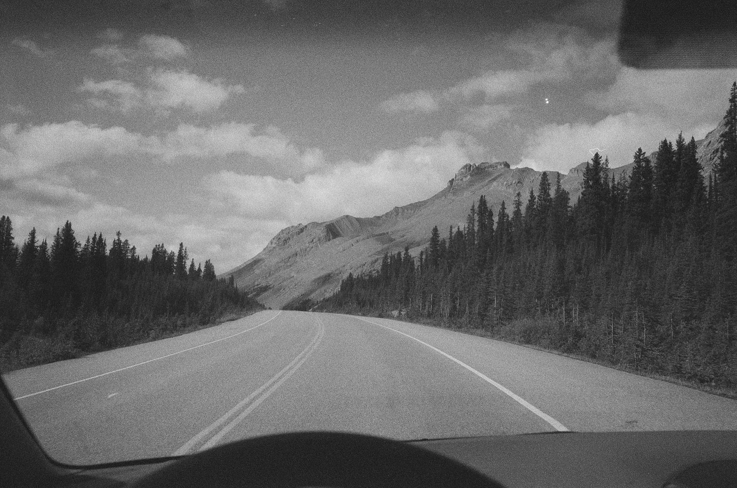 Driving the amazing Icefields Parkway 🏔️