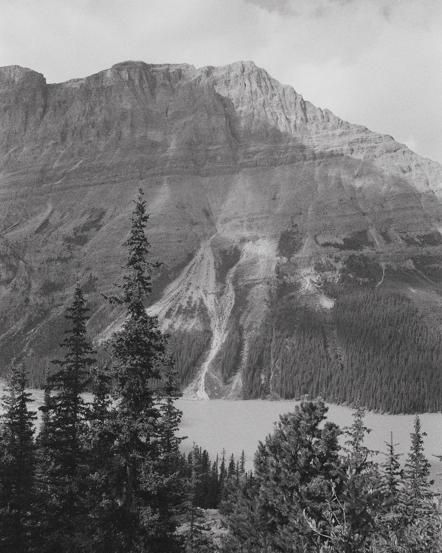 Looking over Lake Peyto