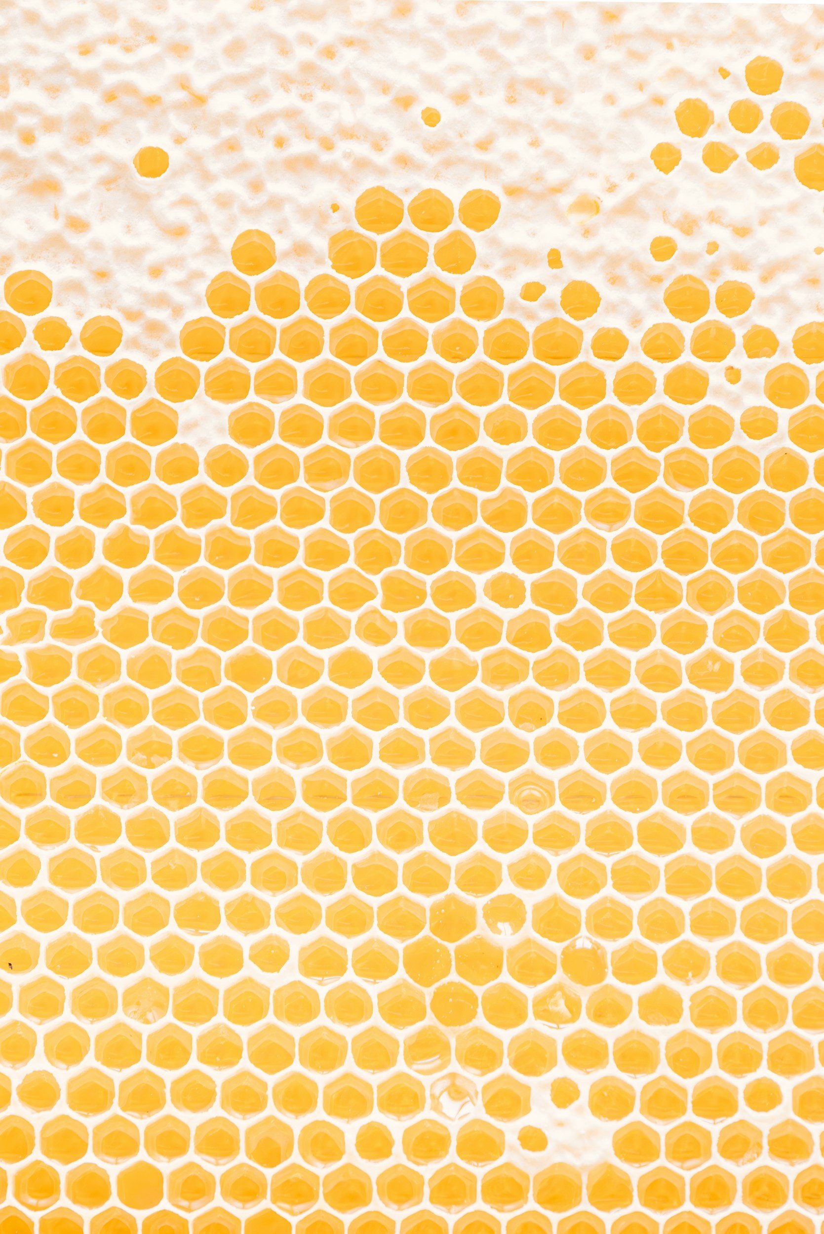 Close-up image of honeycomb with hexagonal wax cells filled with honey.
