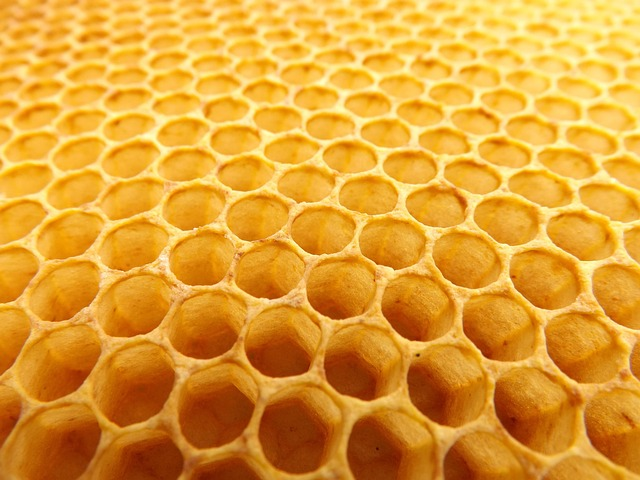 A close-up view of a large waffle cone grid.
