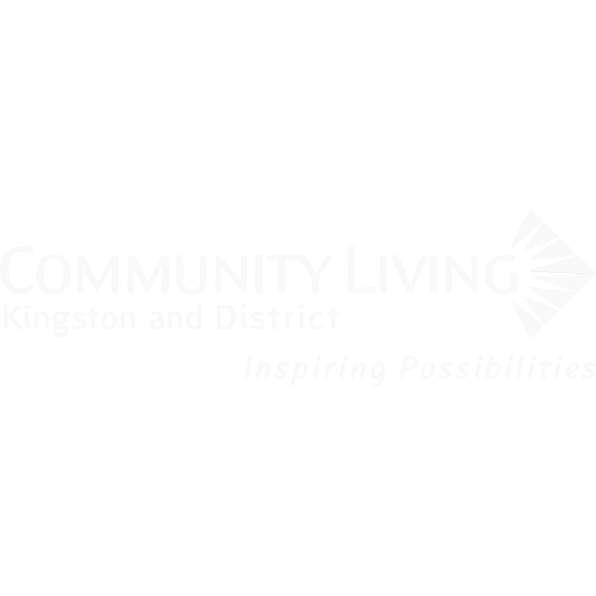 Community Case Management Solution
