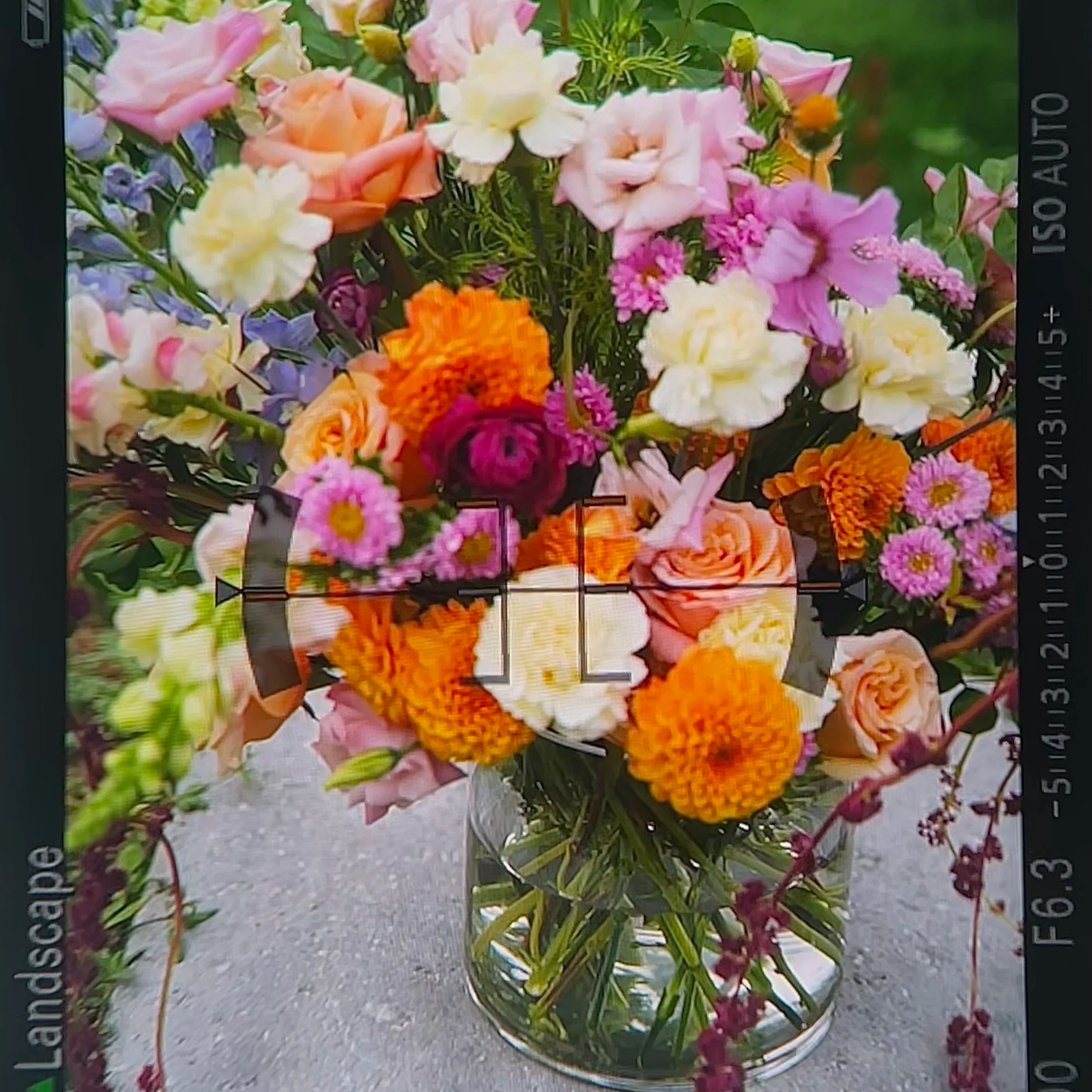 IMG_0697.png