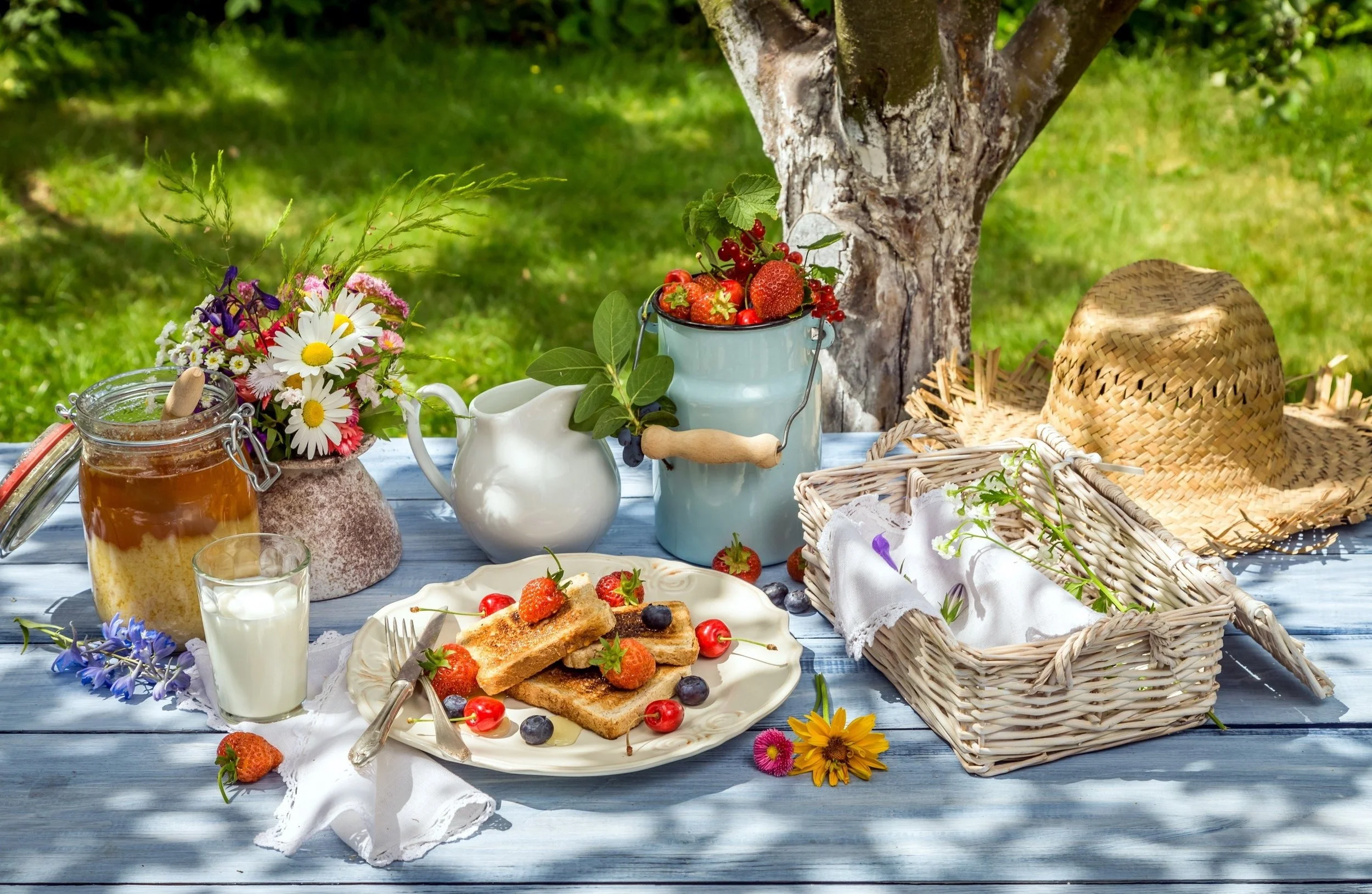 picnic event.jpeg
