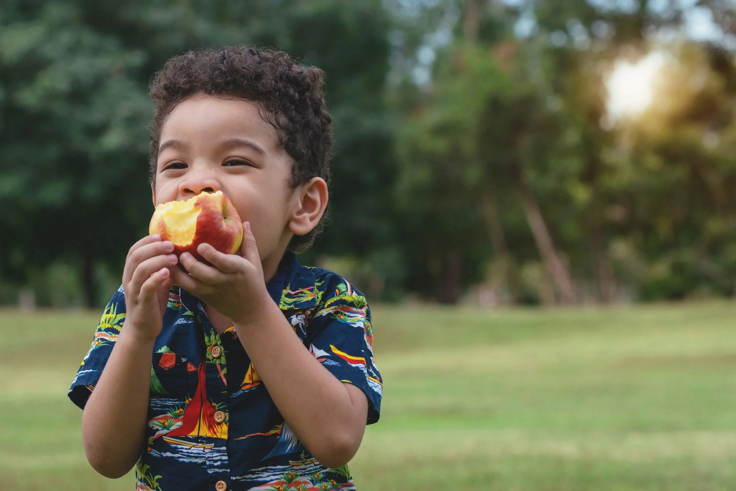 A young boy enjoying a bite of a red and yellow apple outdoors in a park or garden setting with blurred trees and greenery in the background.