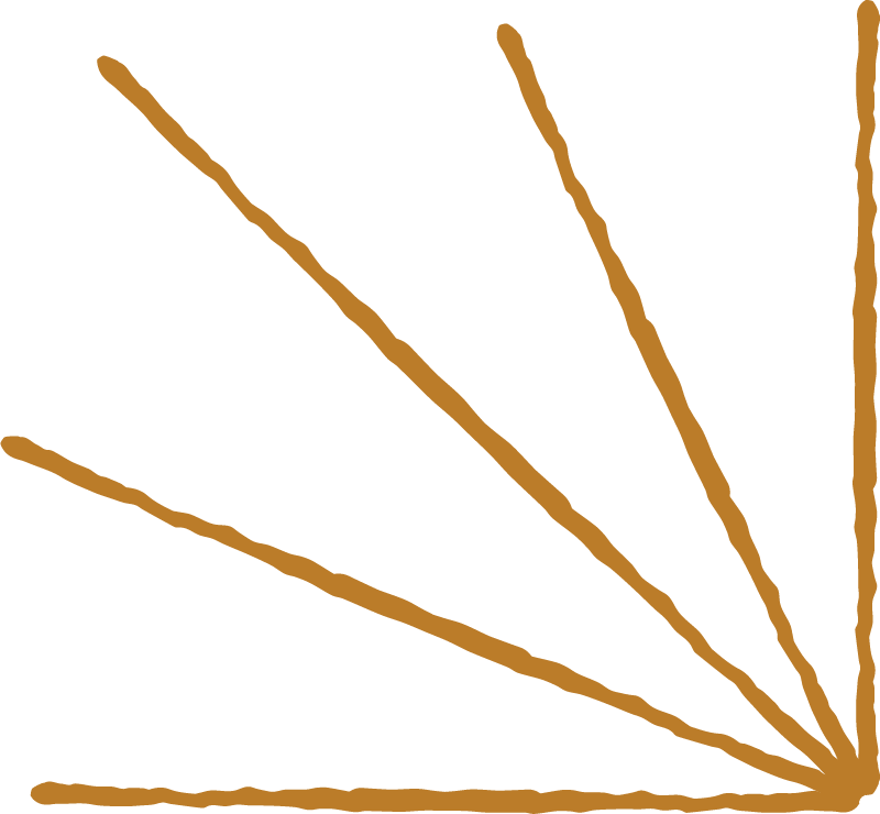 Brown lines radiating from the bottom right corner.
