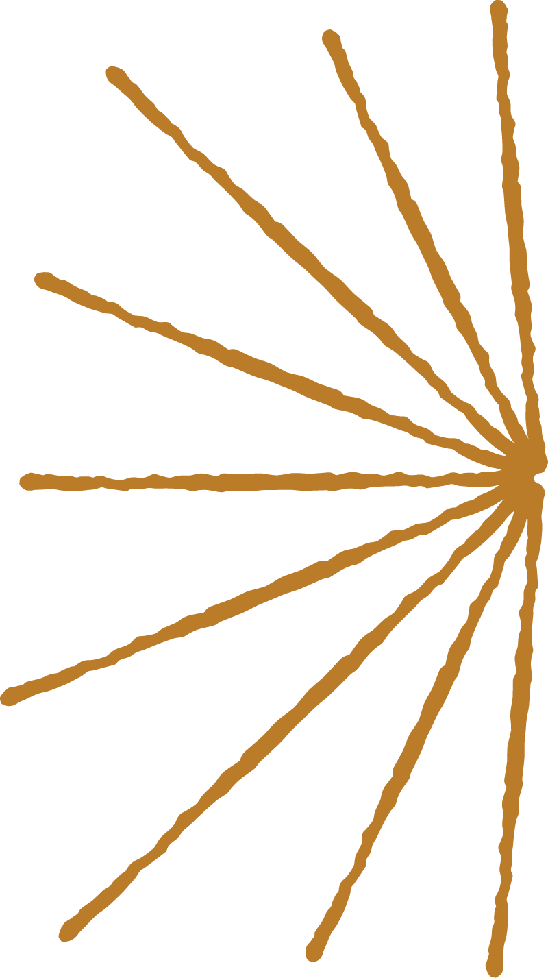Half of a brown starburst icon