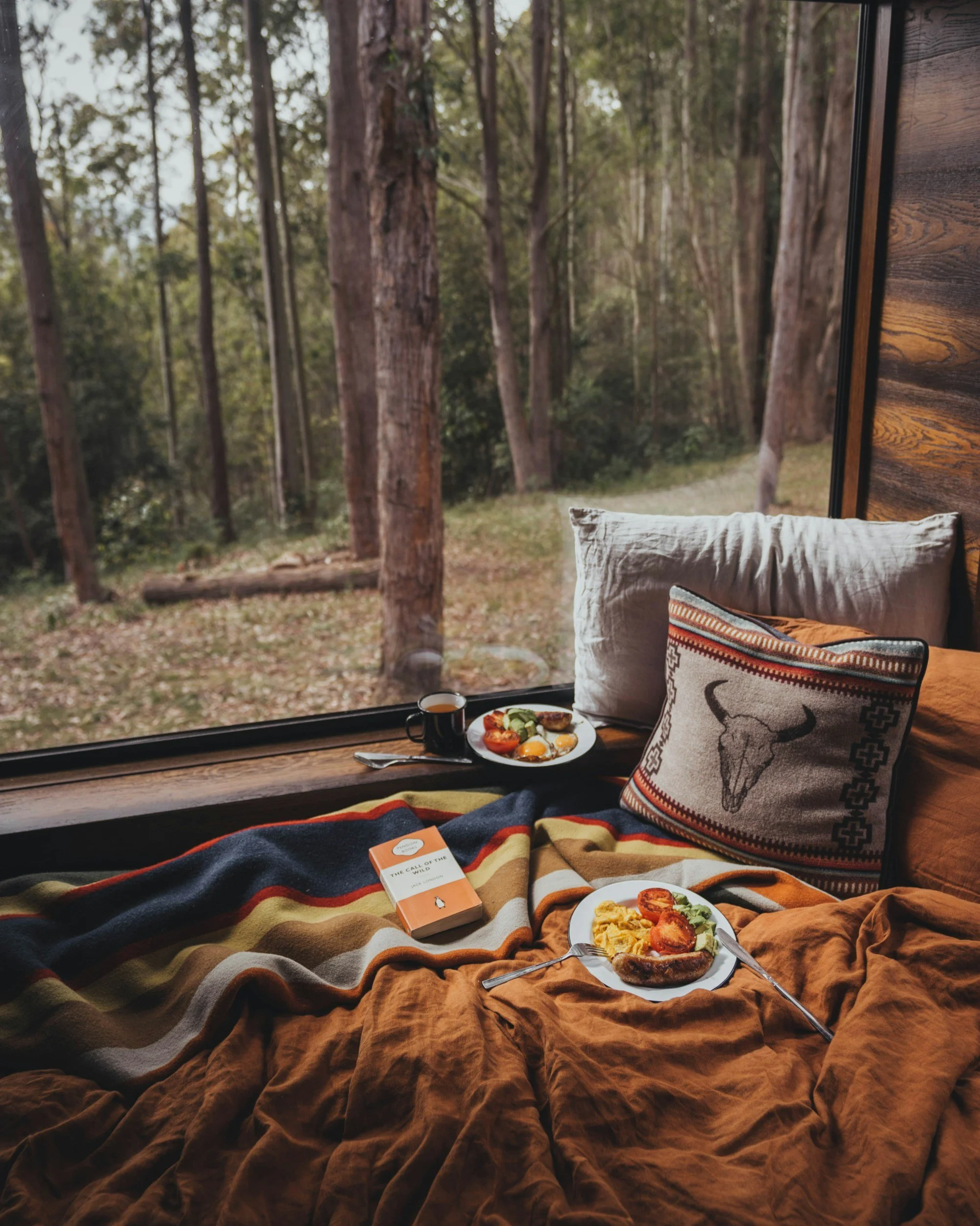 Indoor scene showing a blanket on a windowsill with a view of trees outside. On the blanket, there is a plate of breakfast foods, a cup, a book titled 'The Call of the Wild', and a decorative pillow with a bull skull design.