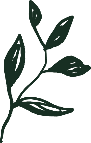 Stylized dark green illustration of a plant with five oval leaves
