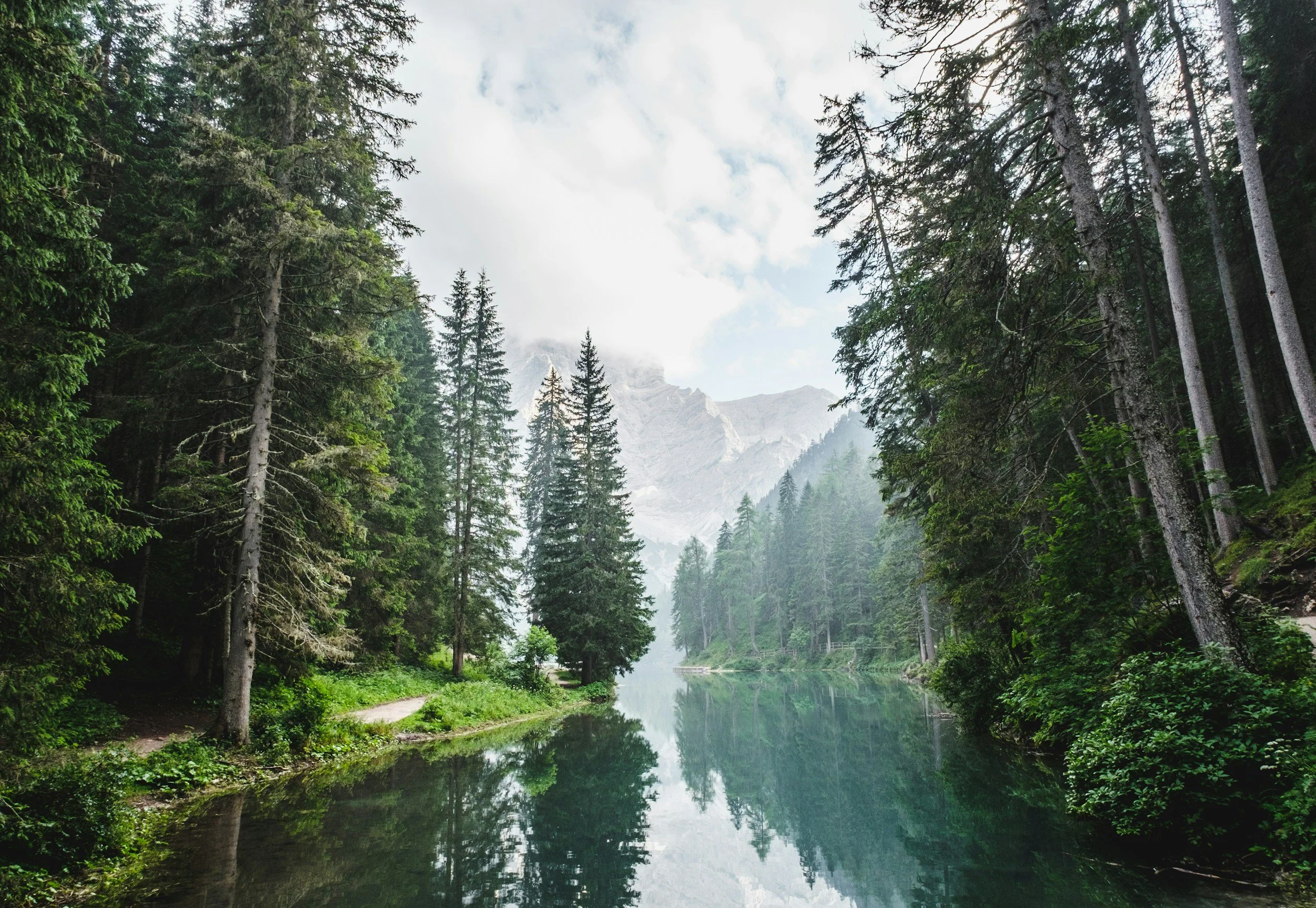 A serene mountain landscape with a calm river surrounded by tall pine trees, with snow-capped peaks and cloudy skies in the background.