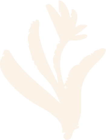 Thick light drawing of a flower with leaves