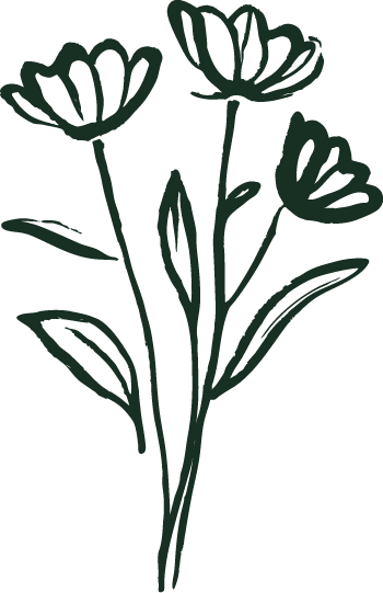 A simple black outline drawing of a flowering plant with three open flowers and elongated leaves.
