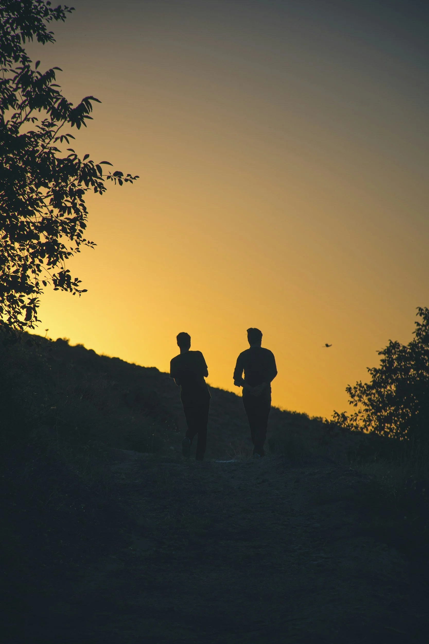 Two people walking along a trail during sunset or sunrise, with trees and a bird in the sky.