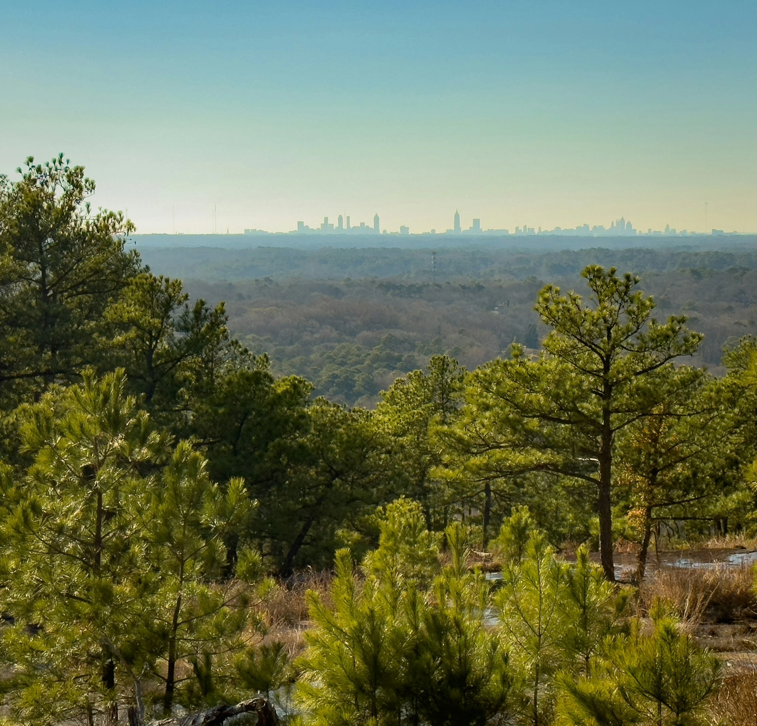 10 Mental Health Resources for Technology Professionals in Alpharetta and North Fulton