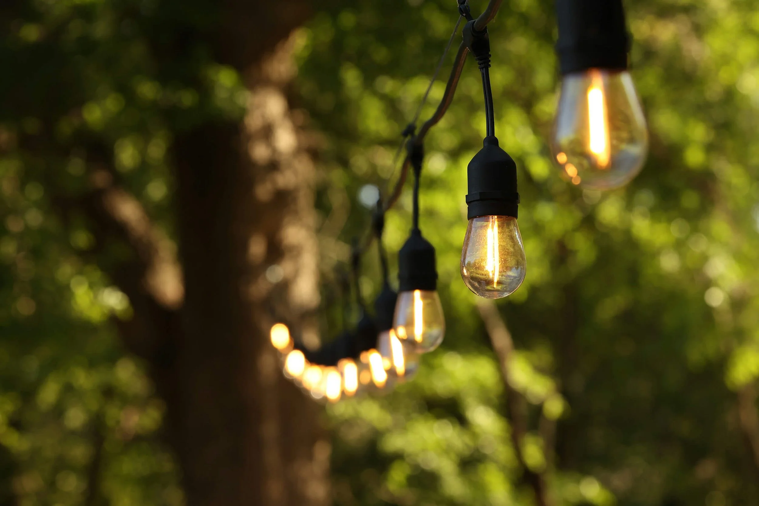 String of illuminated Edison-style light bulbs hanging outdoors in a wooded area, with a blurred background of green trees.