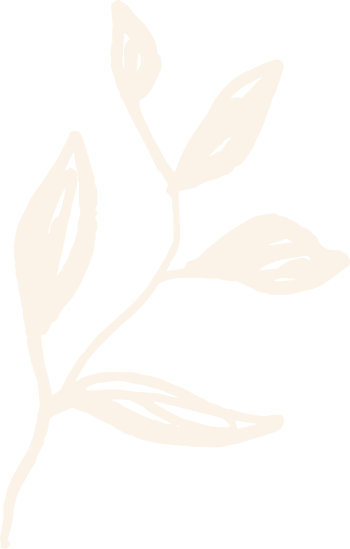 Light beige outline of a branch with leaves on a white background.