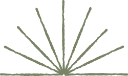 A stylized sun with rays extending outward in a semi-circular pattern.