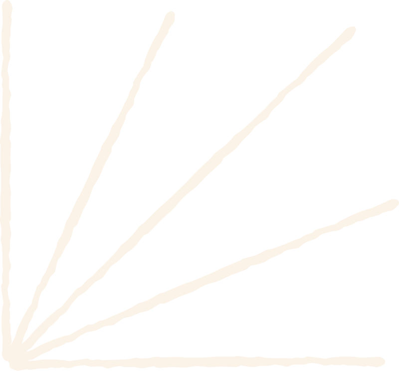 Line drawings radiating from a single point in the bottom left corner