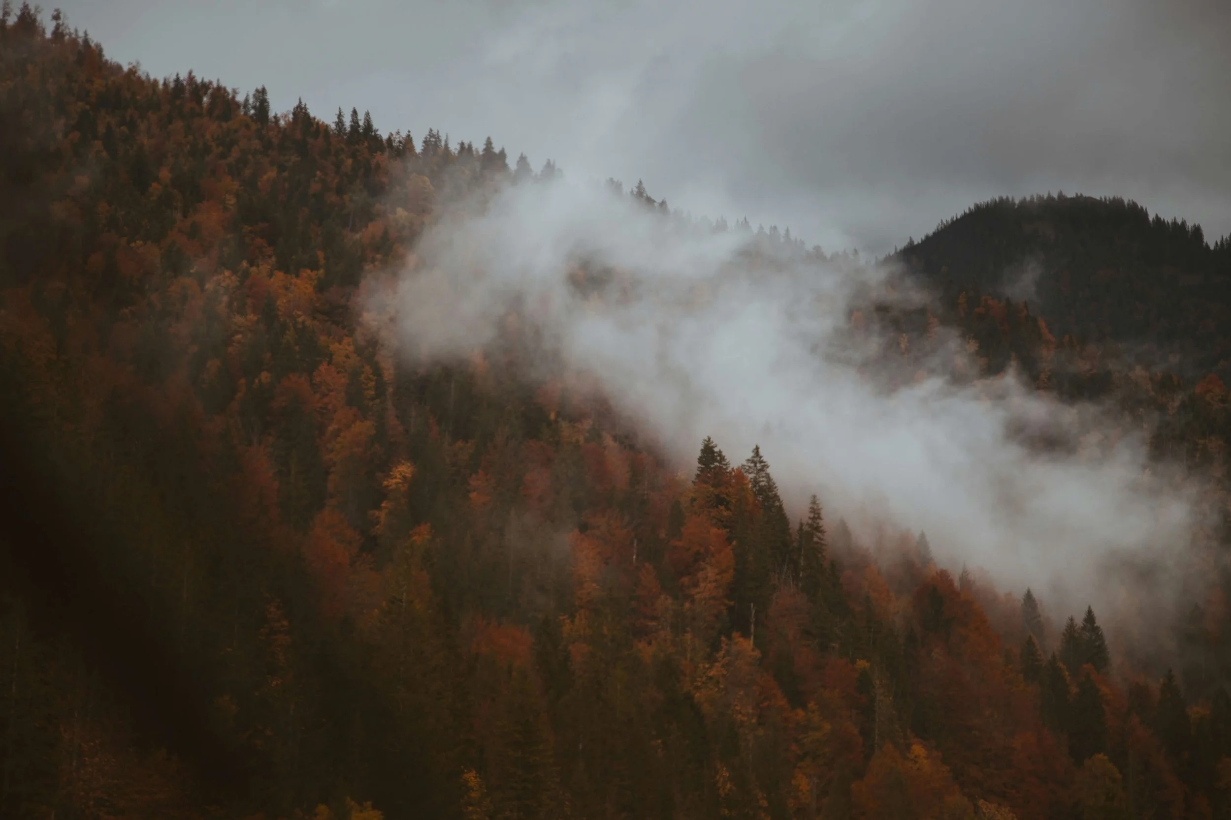 Smoke over green and red trees in autumn