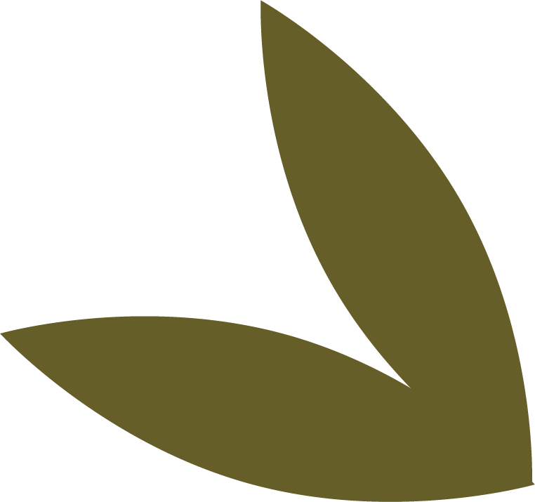 Minimalist image of three dark green leaves with a black background.