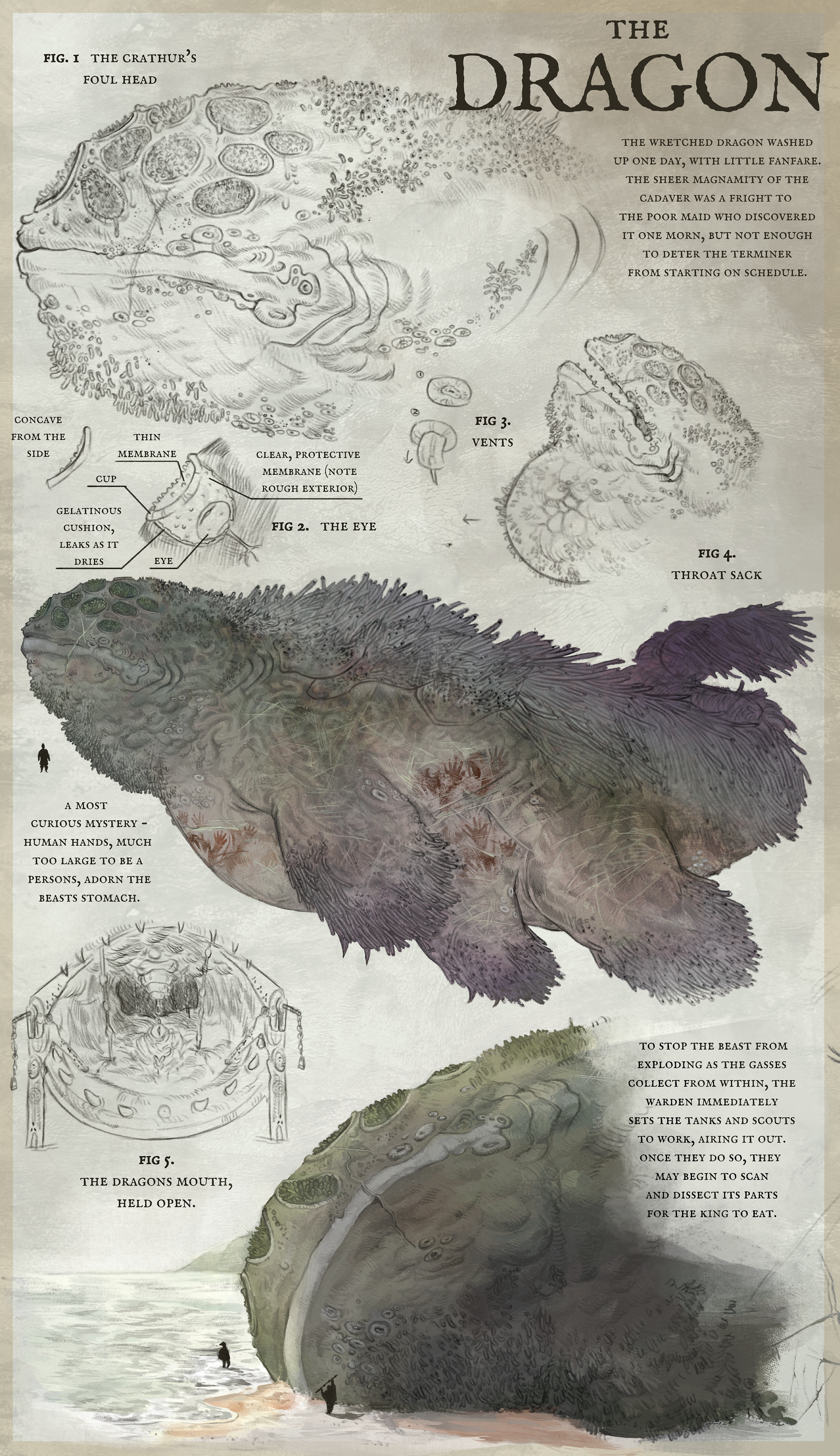 Fantasy underwater dragon design. Journal entry.