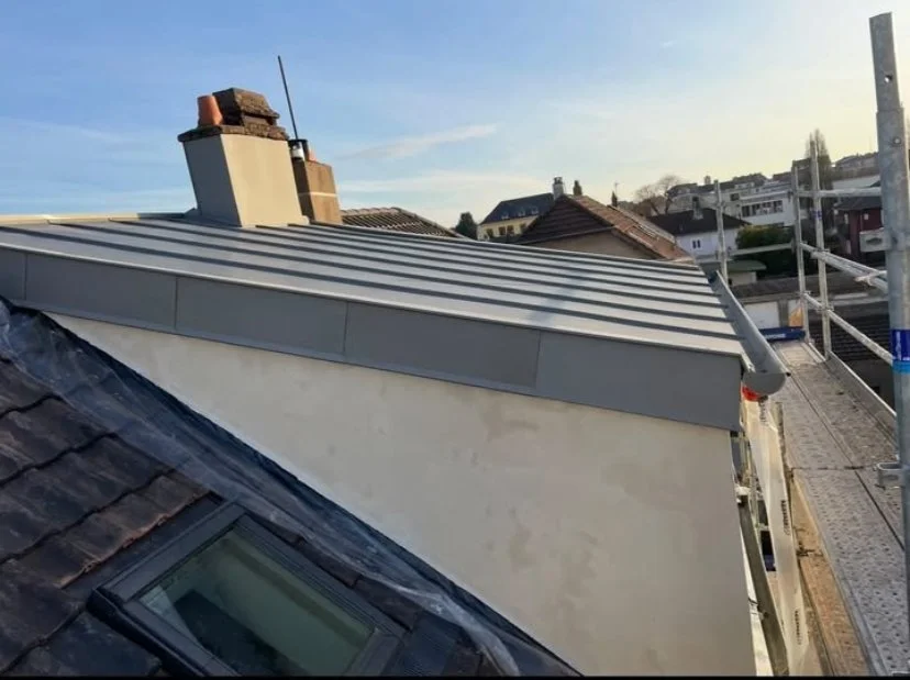 Toit de maison avec toiture en métal, cheminée avec un antenne, scène urbaine avec plusieurs maisons et un échafaudage à droite.