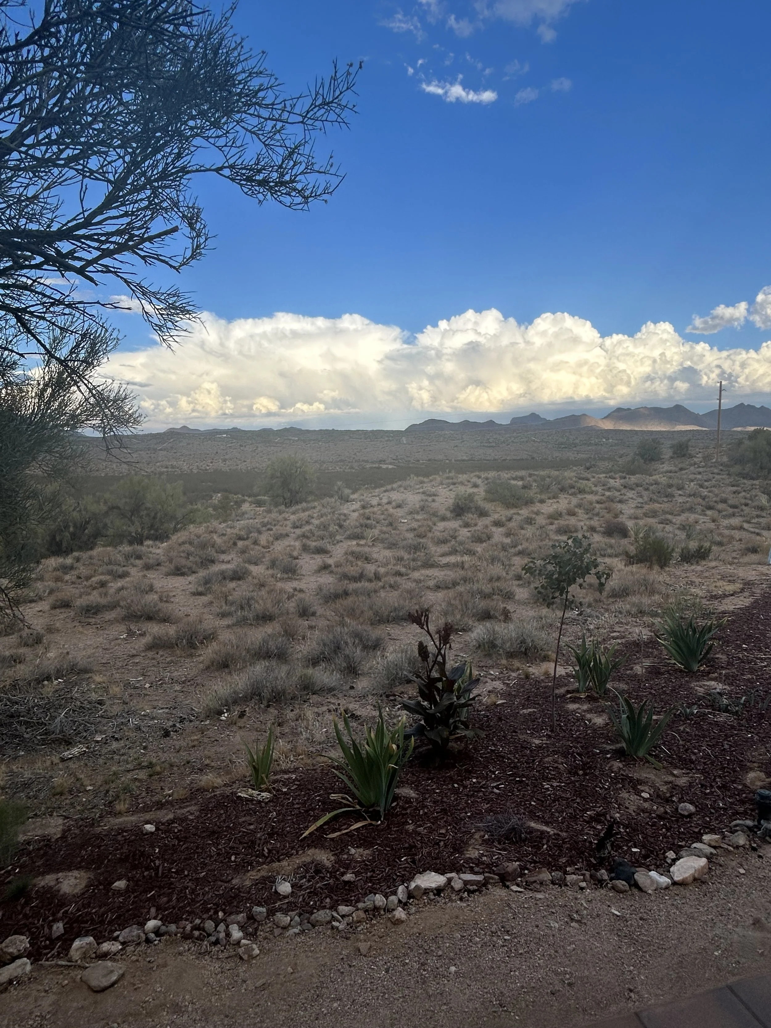 Quiet desert landscape and distant mountain views from The Butterfly Alchemy retreat.