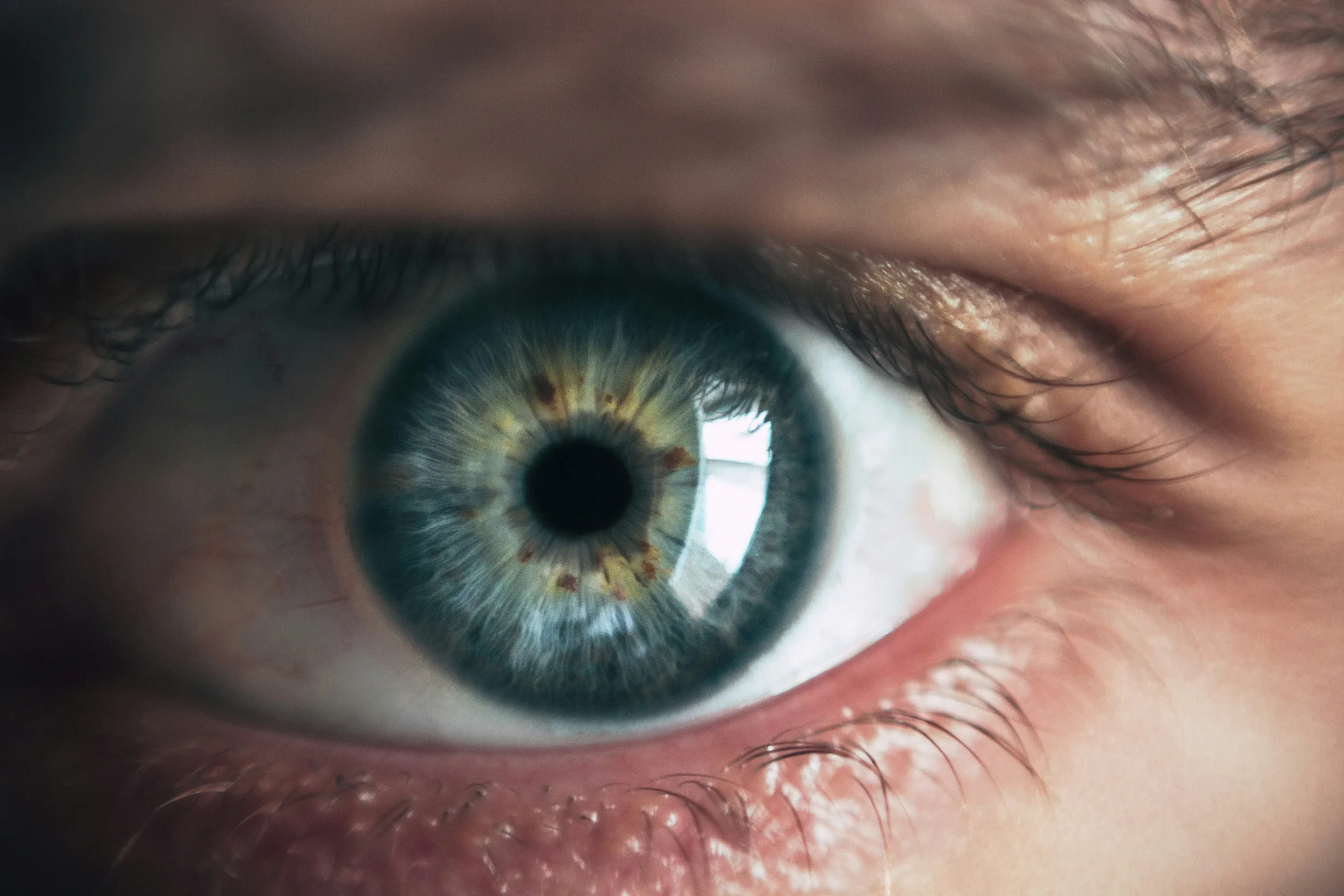 Autistic Anticipatory Scripting Ate Four Decades of Presence