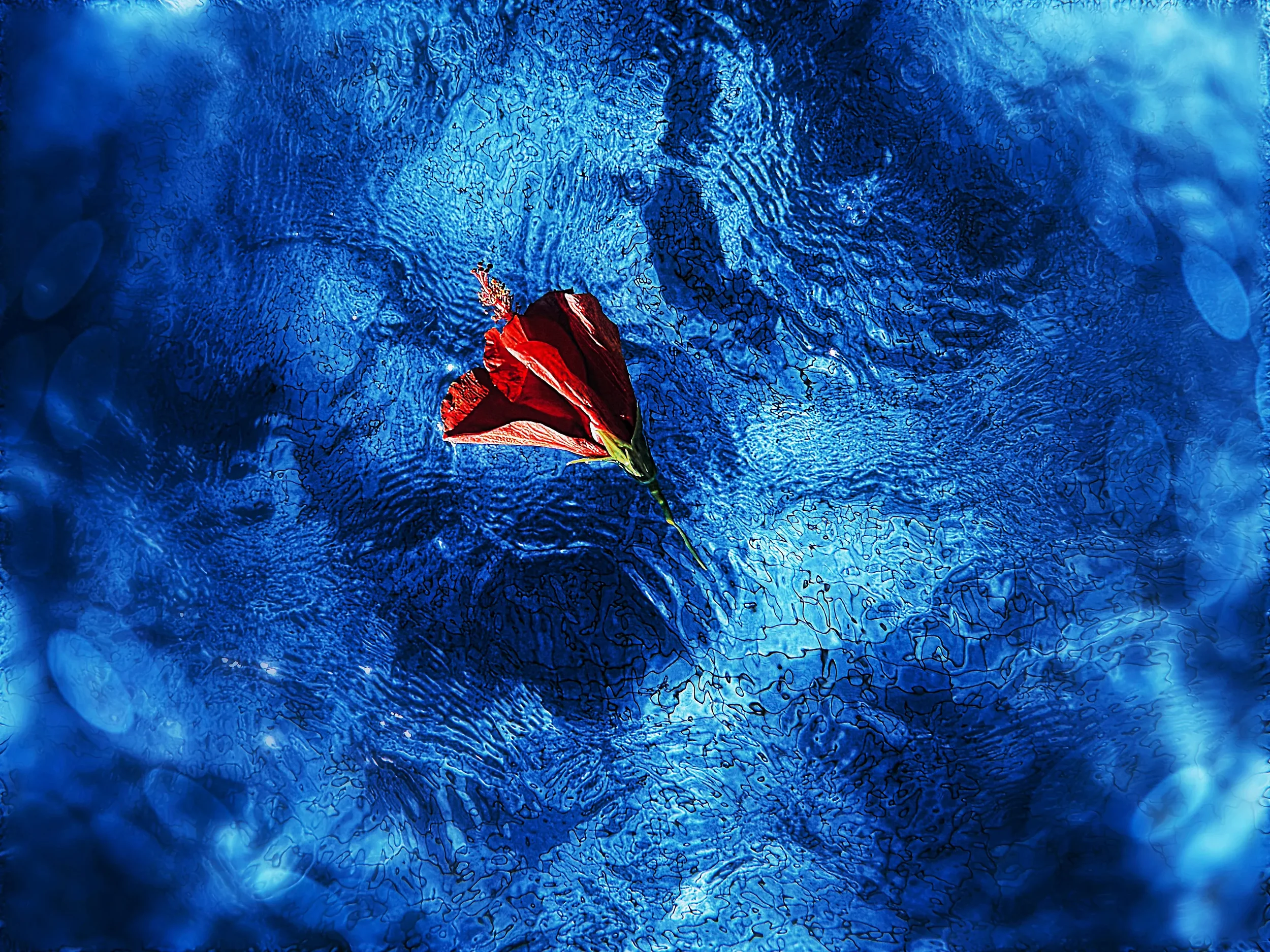 Thirty Years I Spent Correcting My Autistic Vision