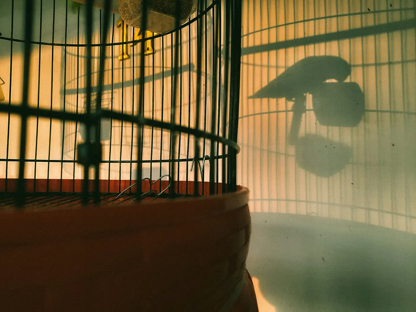 Why Innocence Is Autism Advocacy's Gentlest Cage.
