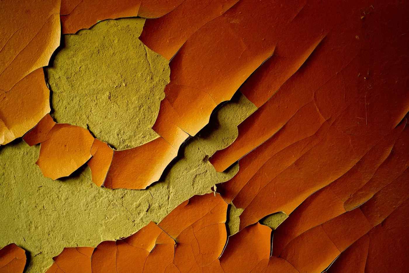 The Narcissistic Wound Has a Cortisol Level