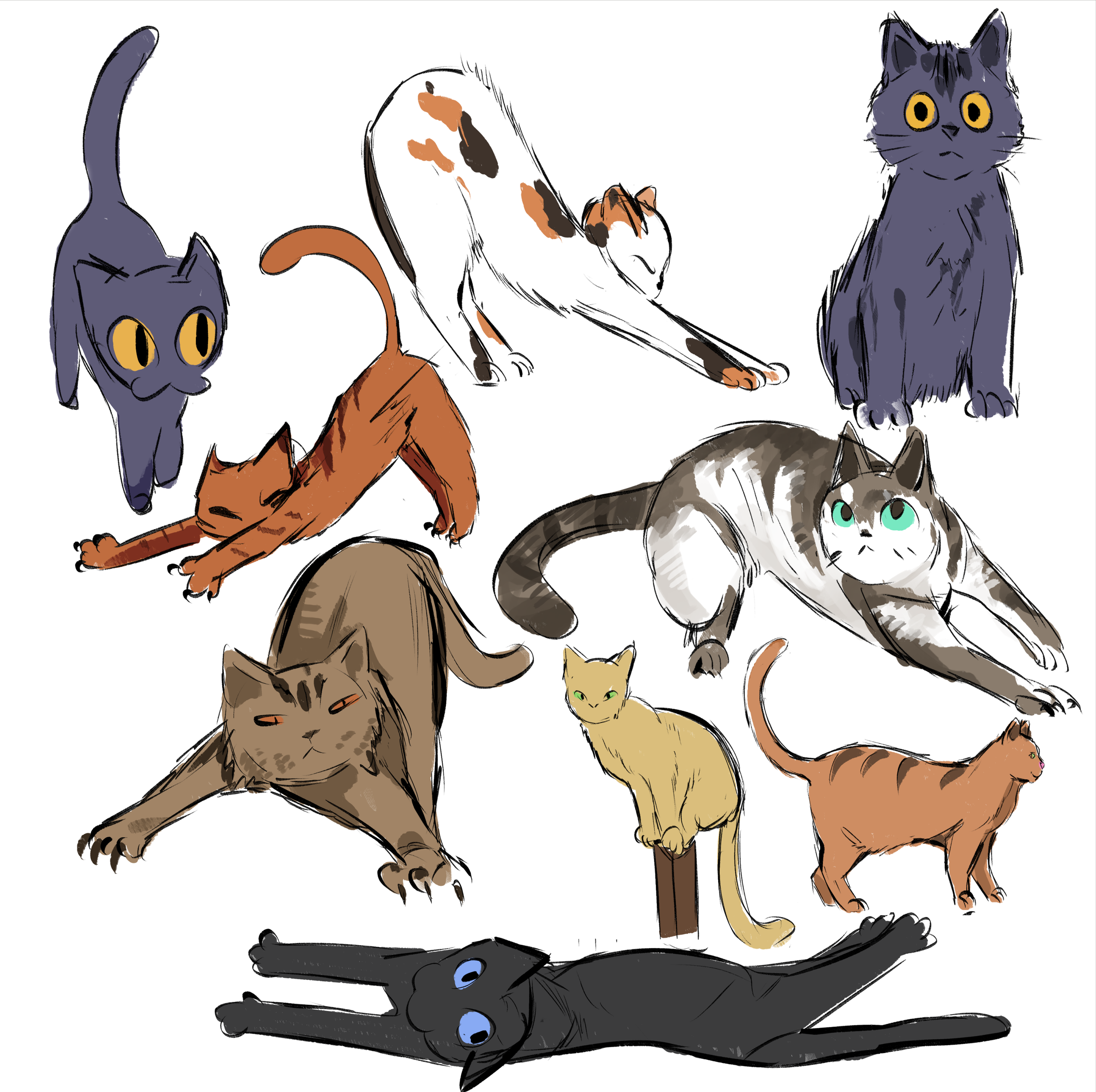 cats.png