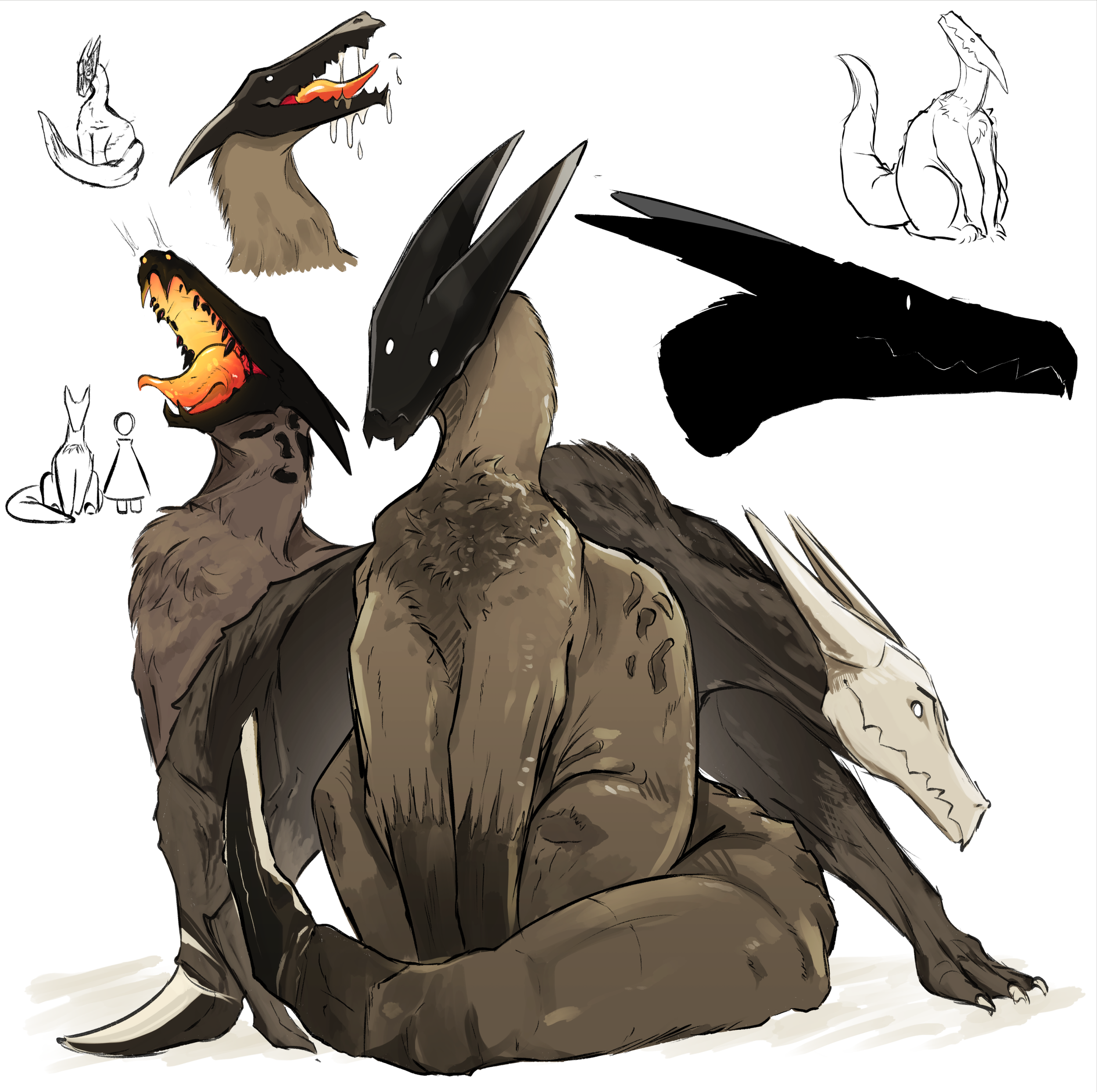 drakes.png