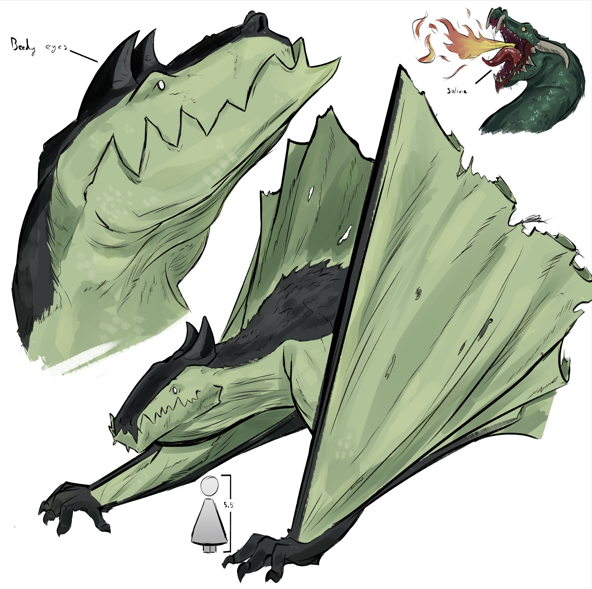 wyvern2.png