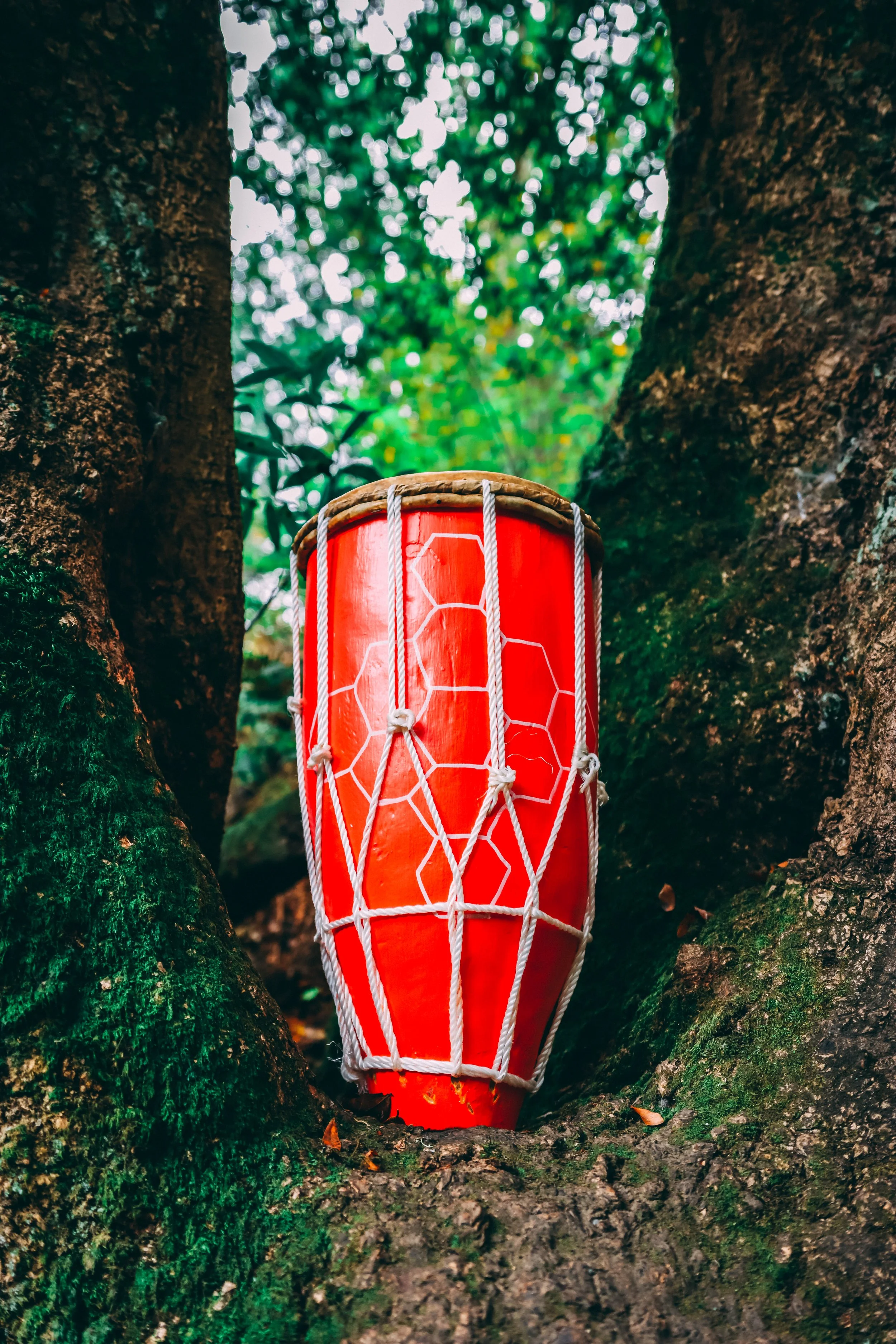 A red object with a white net around it, placed between two tree trunks in a forest.