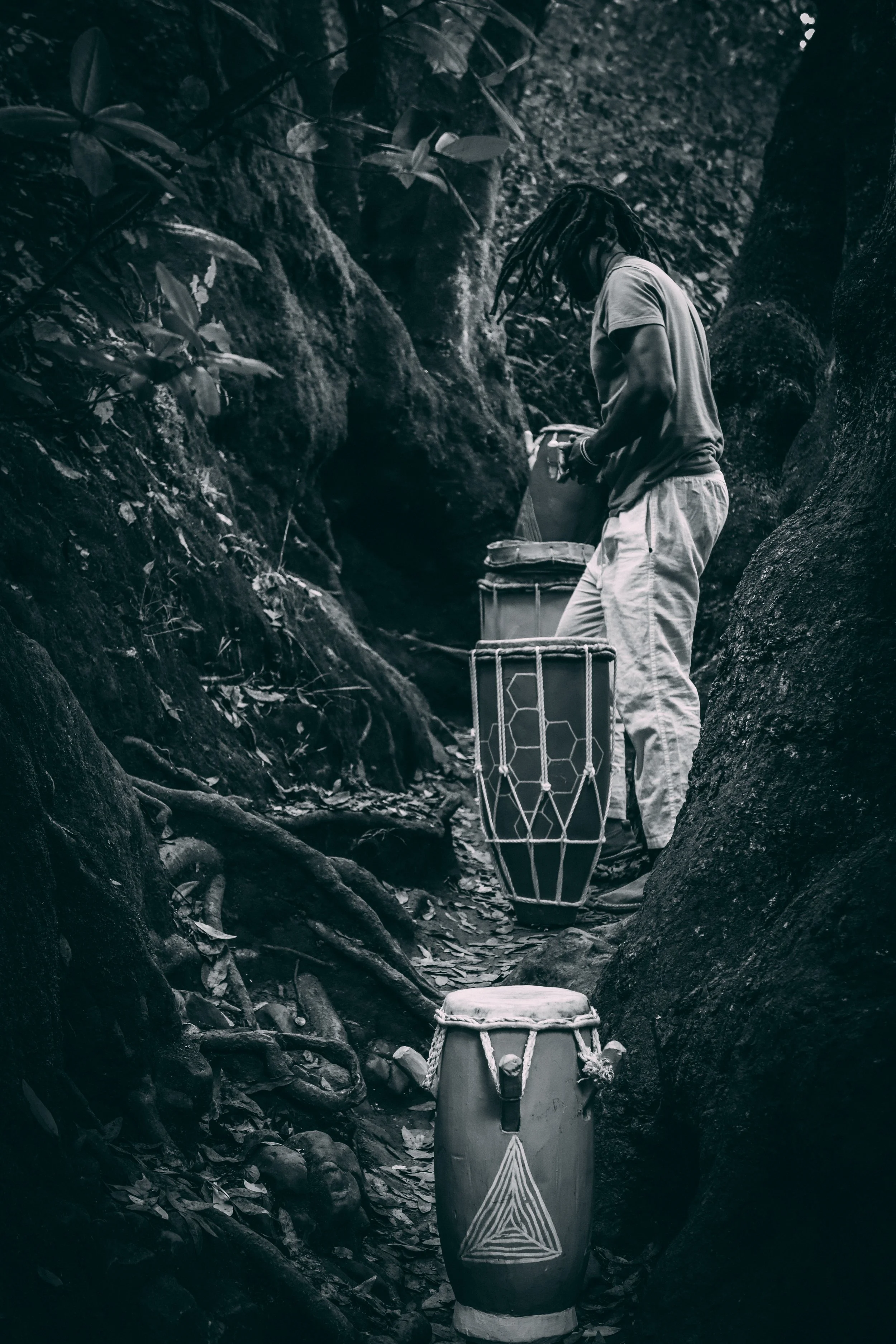 Haitian musician/ spiritualist within the trees and haitian vodou drums. (Rada, manman, mitan, segon, Tèt tanbou, kata, boula)