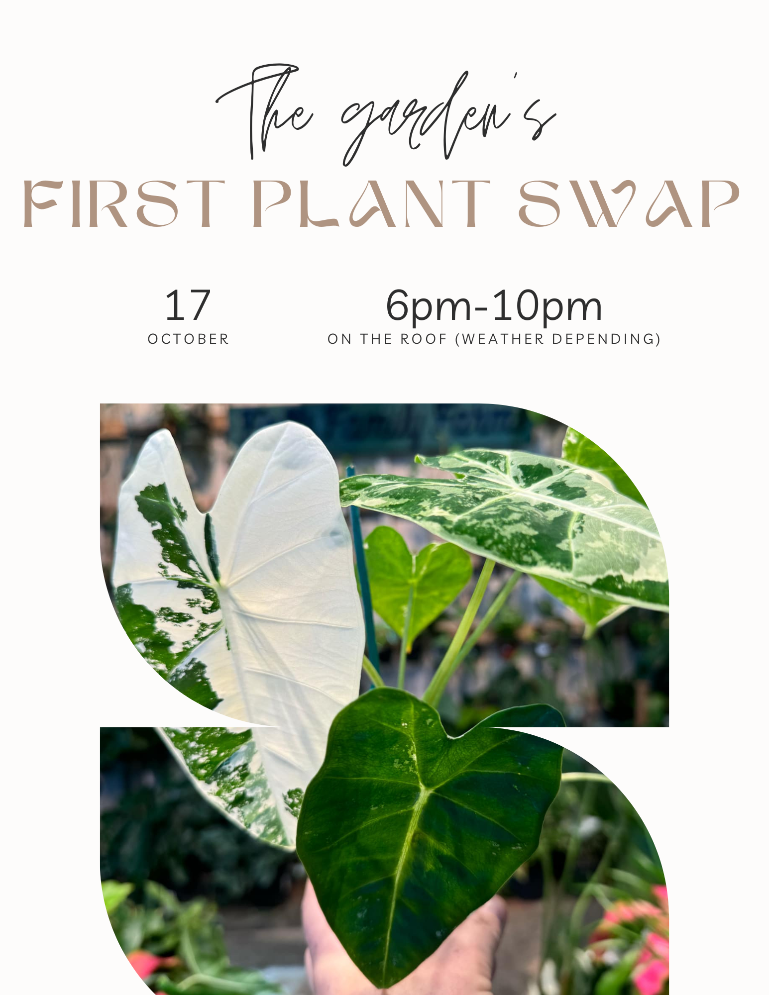 White Gray Modern Minimalist Swap Party Flyer.png