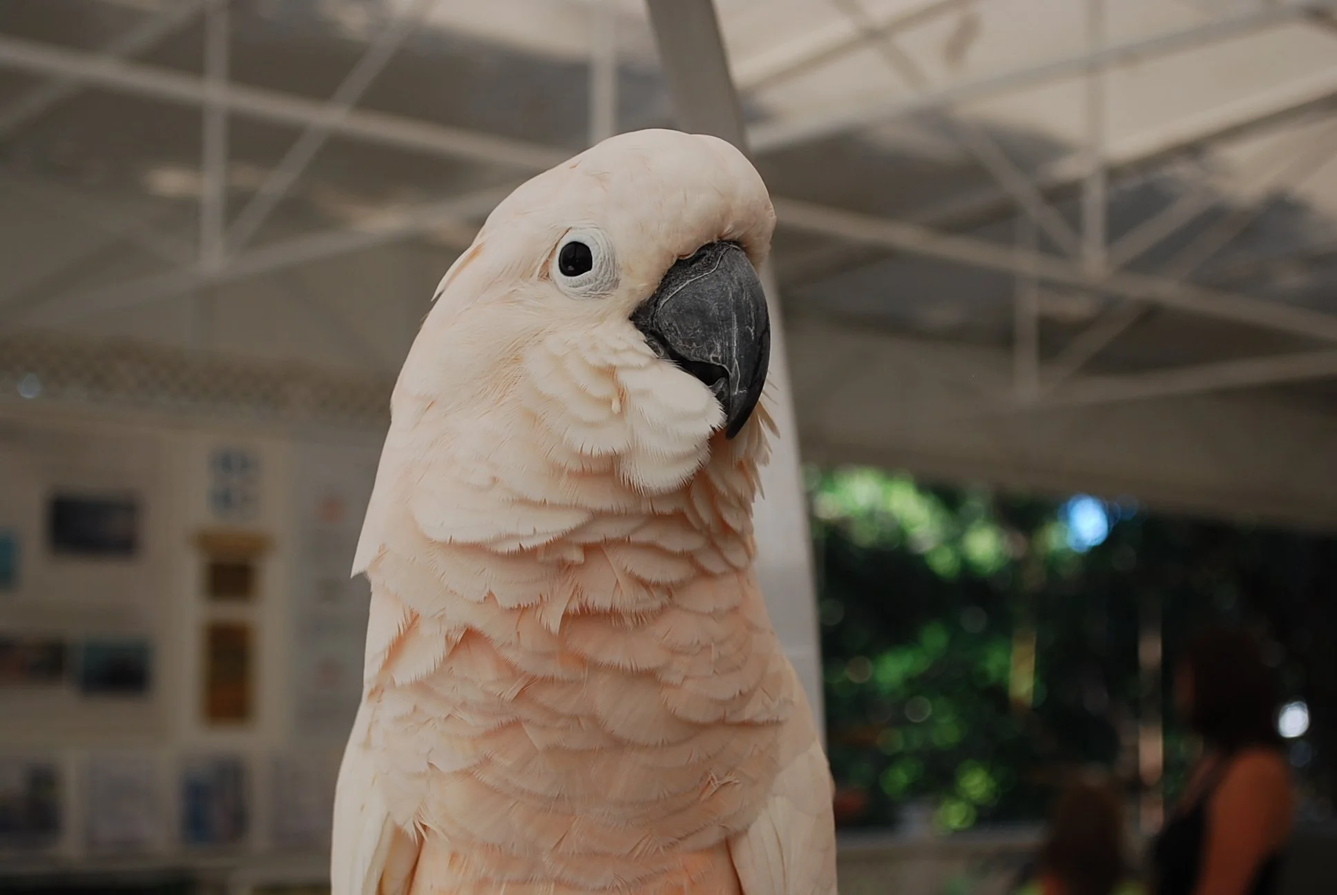 DSC_0527.JPG