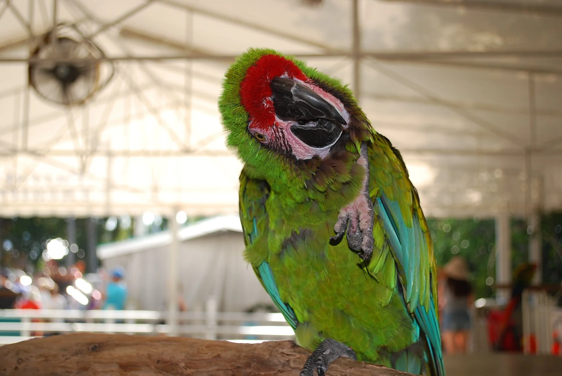 DSC_0521.JPG