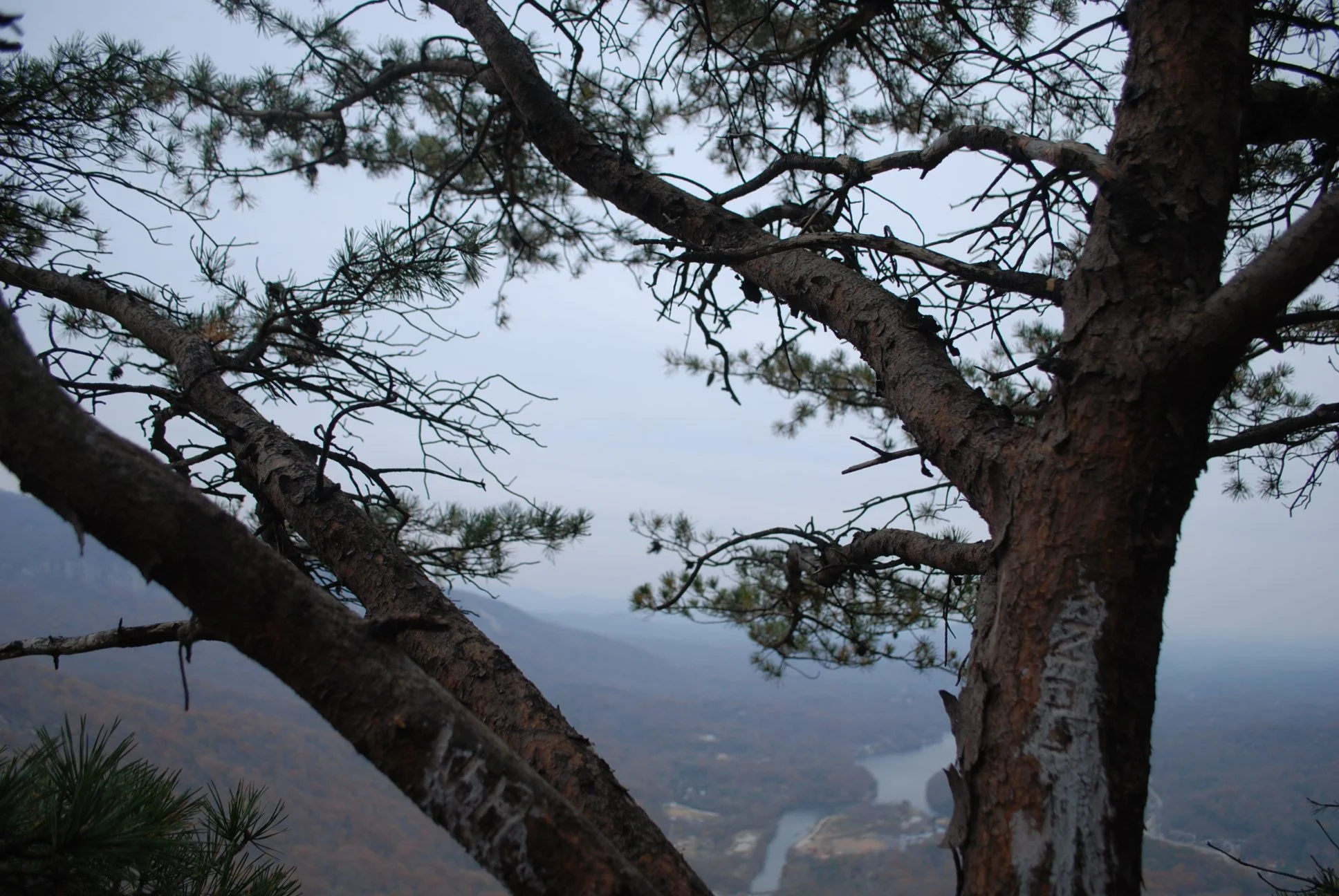 DSC_0864.JPG