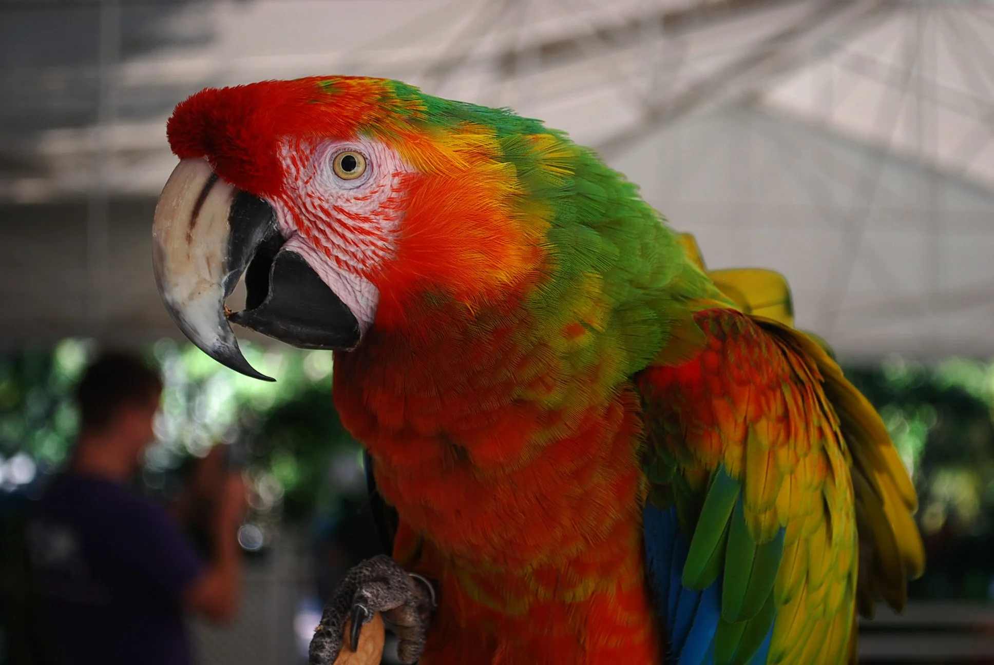 DSC_0539.jpg