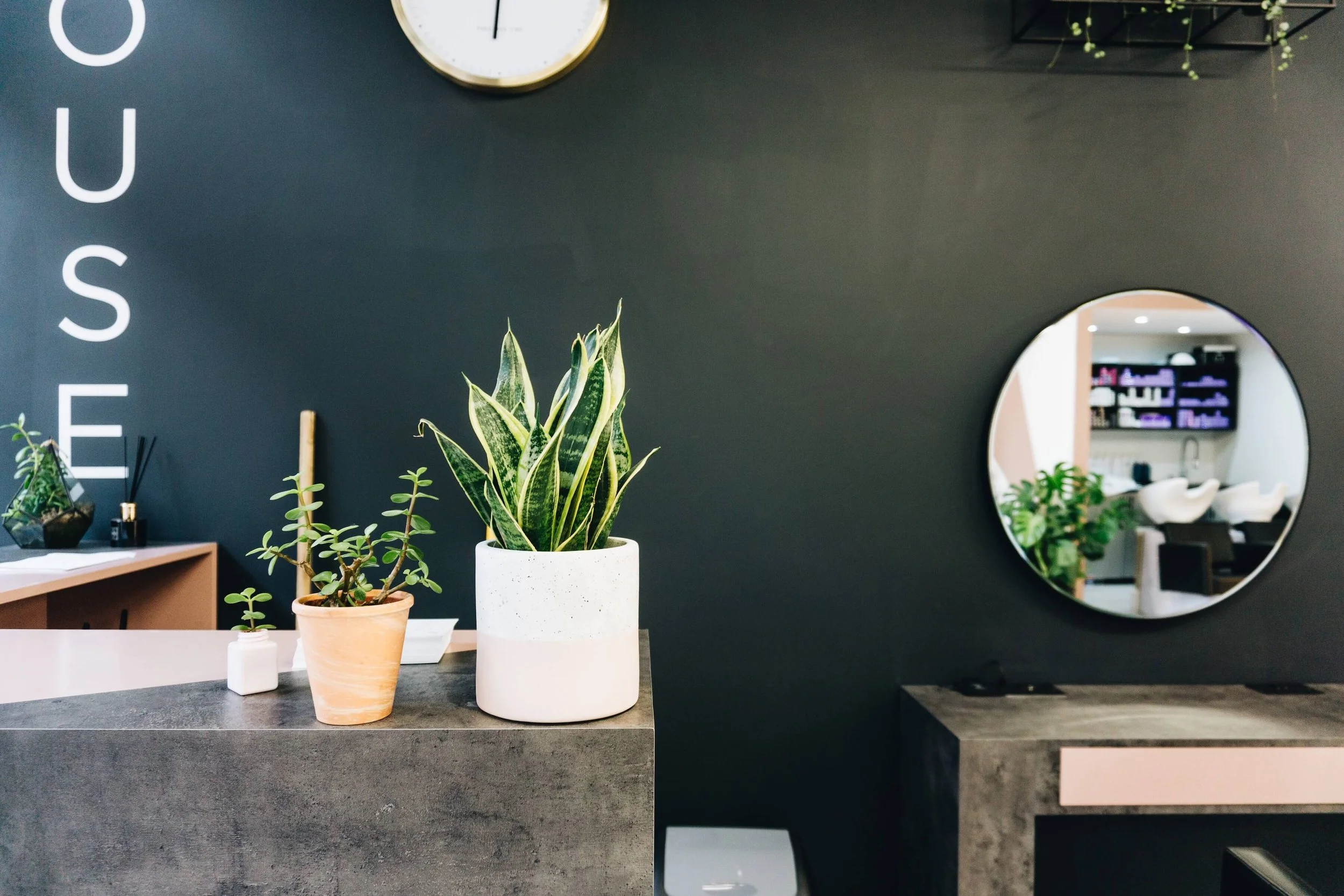 Indoor scene with a dark wall, a round mirror reflecting a digital display, a white clock, and three potted plants on a counter, including a snake plant and other small succulents.