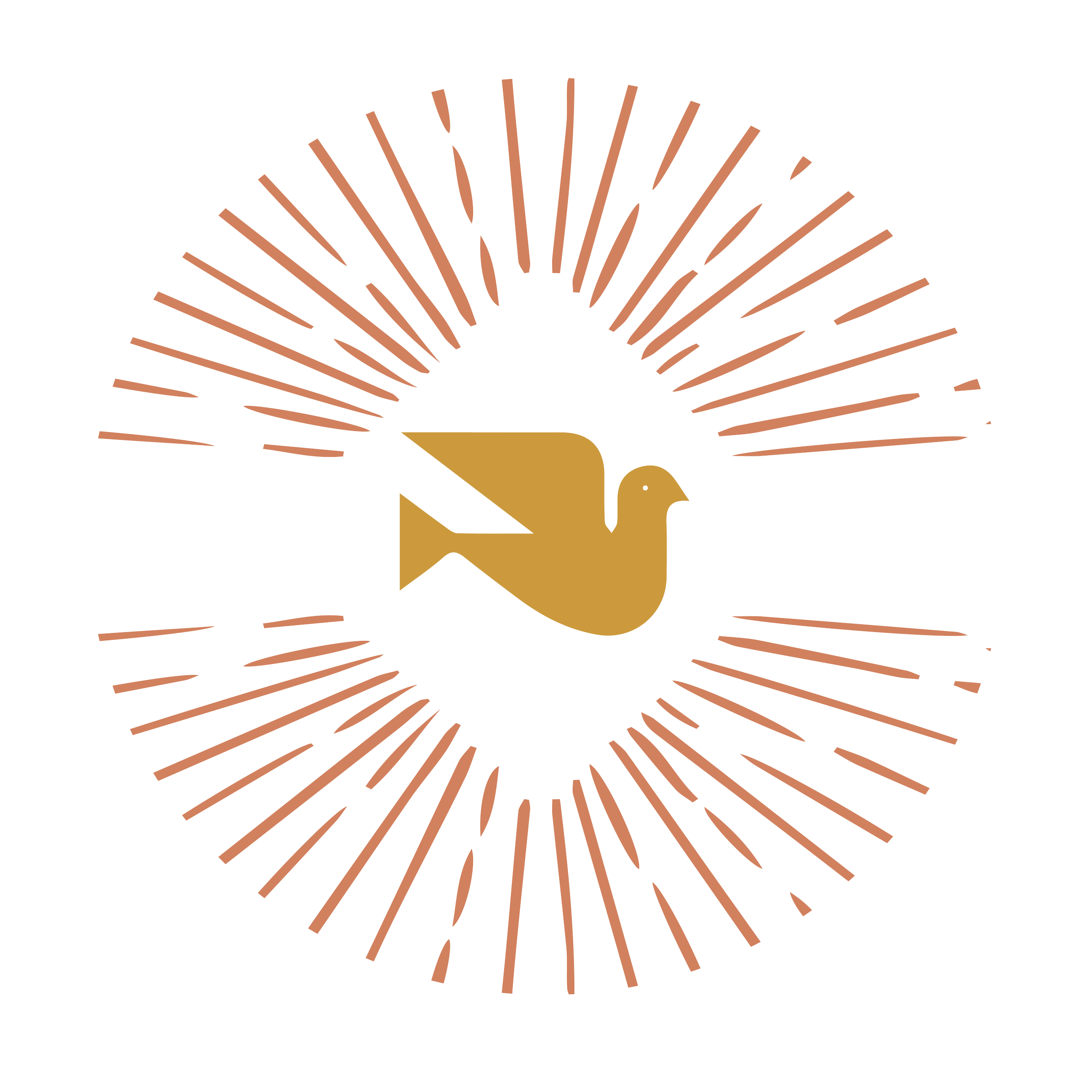 An illustration of a stylized bird in gold and pink, with radiating lines behind it, resembling a sunburst or crown, on a black background.