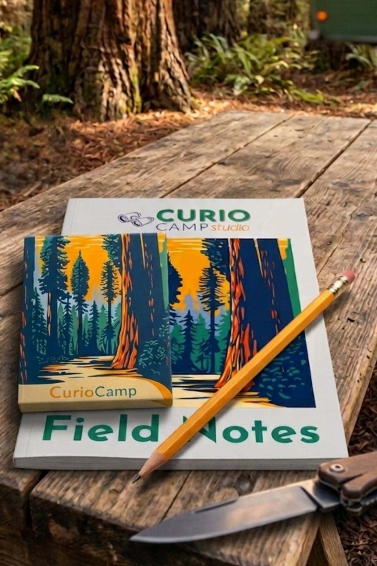 Curio Cards + Curio Field Notes