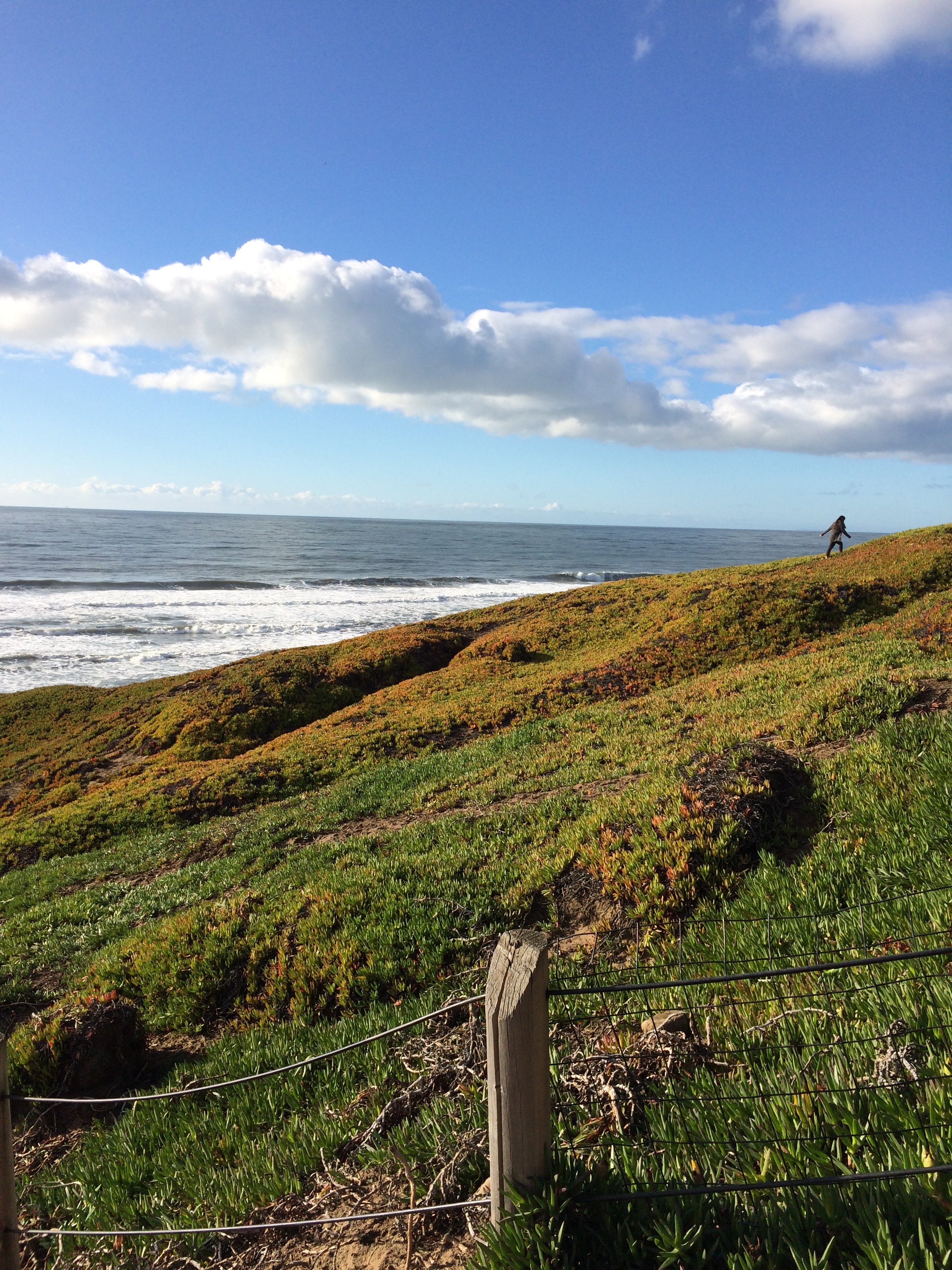 elashyu_photography_sanfrancisco_007.jpg
