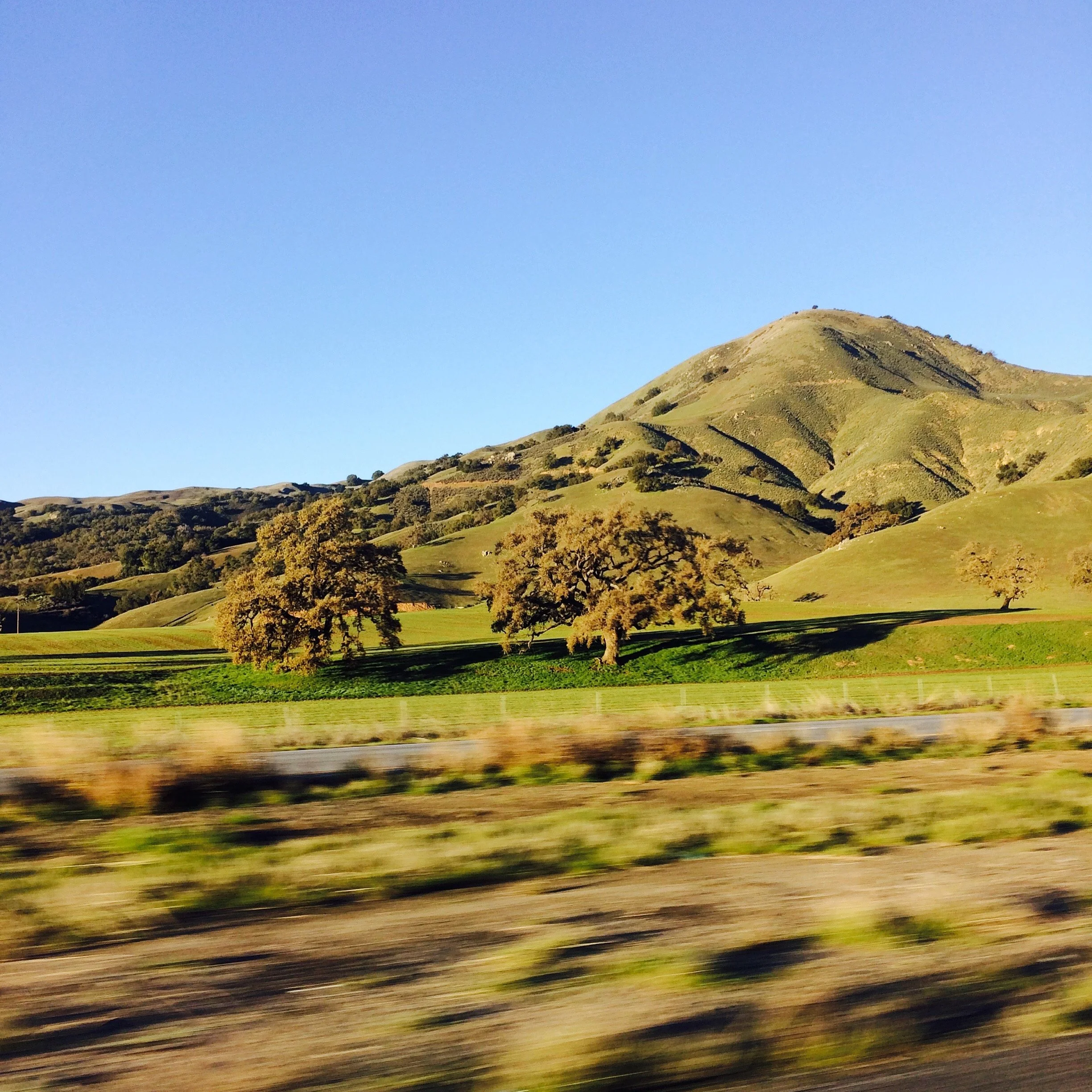 elashyu_photography_sanfrancisco_012.jpg
