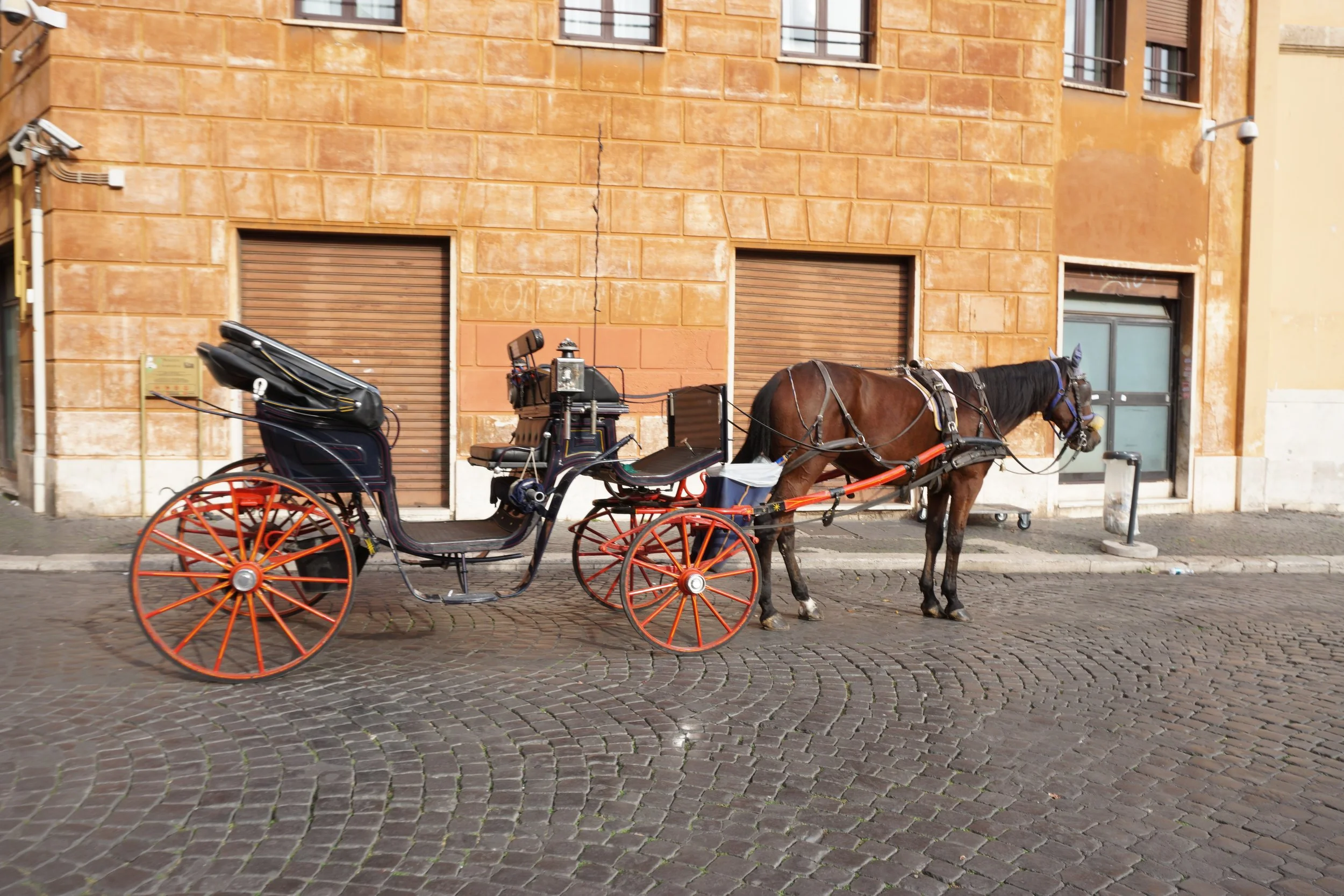 Horse-drawn carriage parked on cobblestone street in front of a brick building with closed shutters.