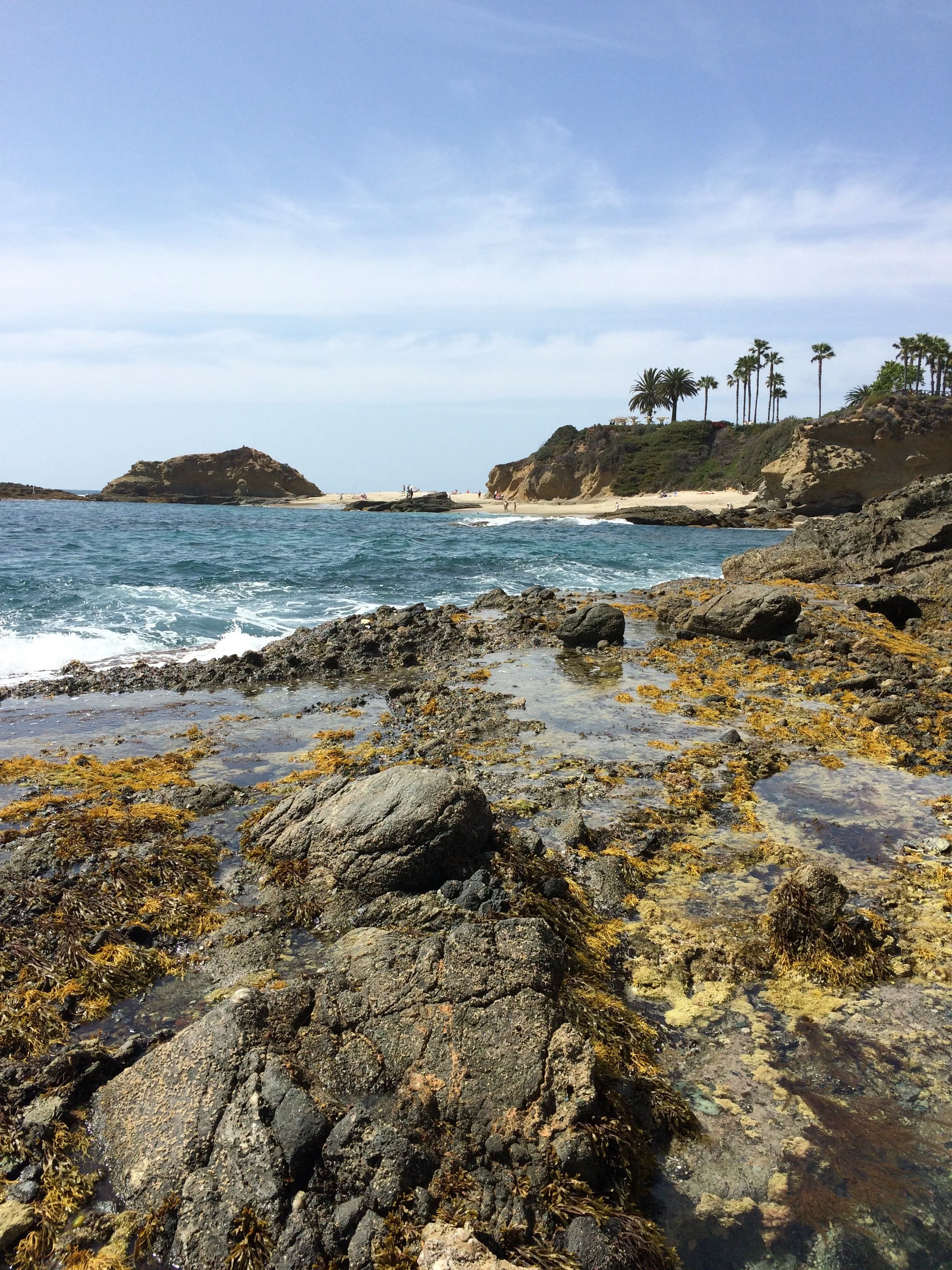 elashyu_photography_lagunabeach_001.jpg