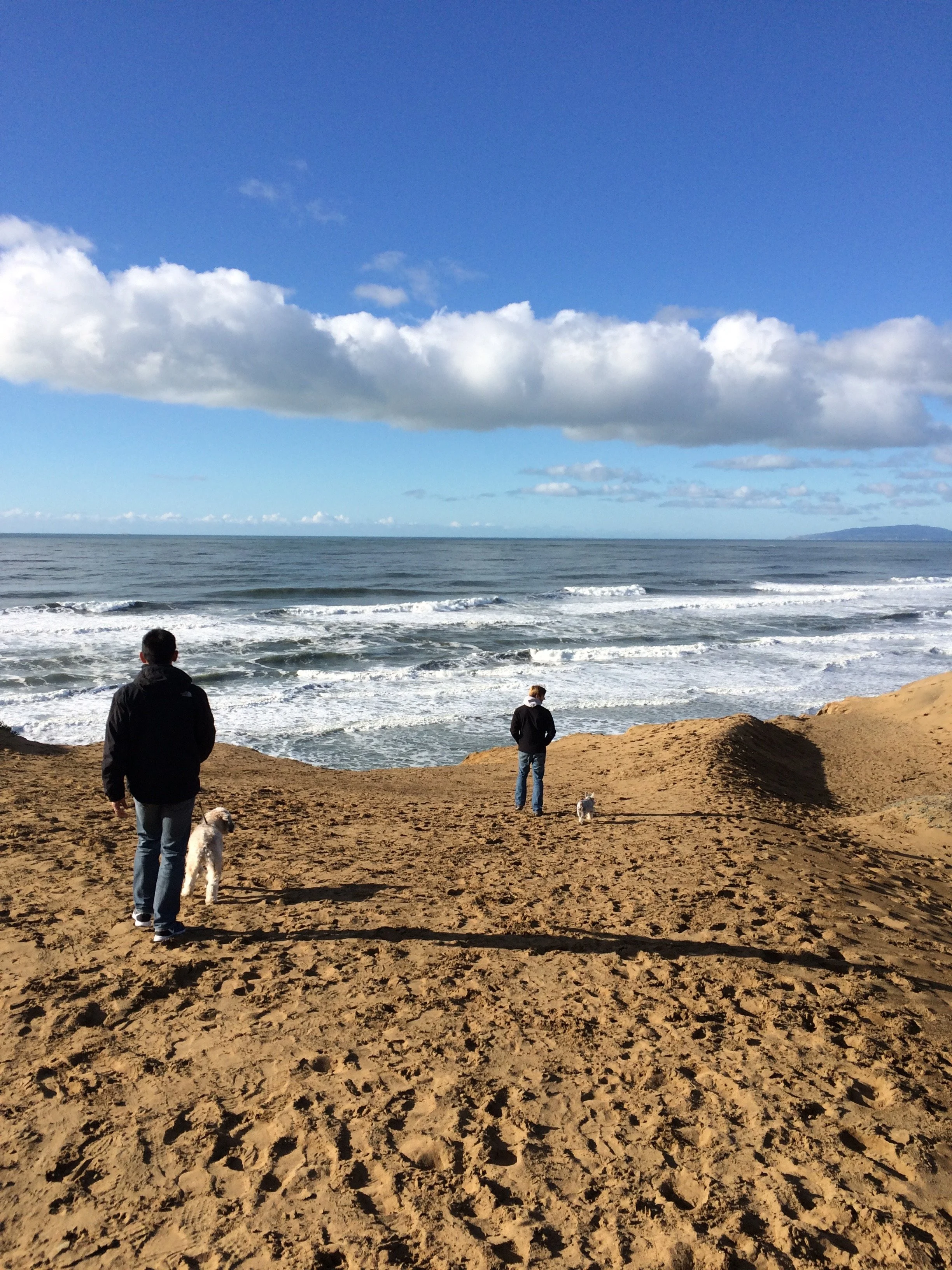 elashyu_photography_sanfrancisco_005.jpg