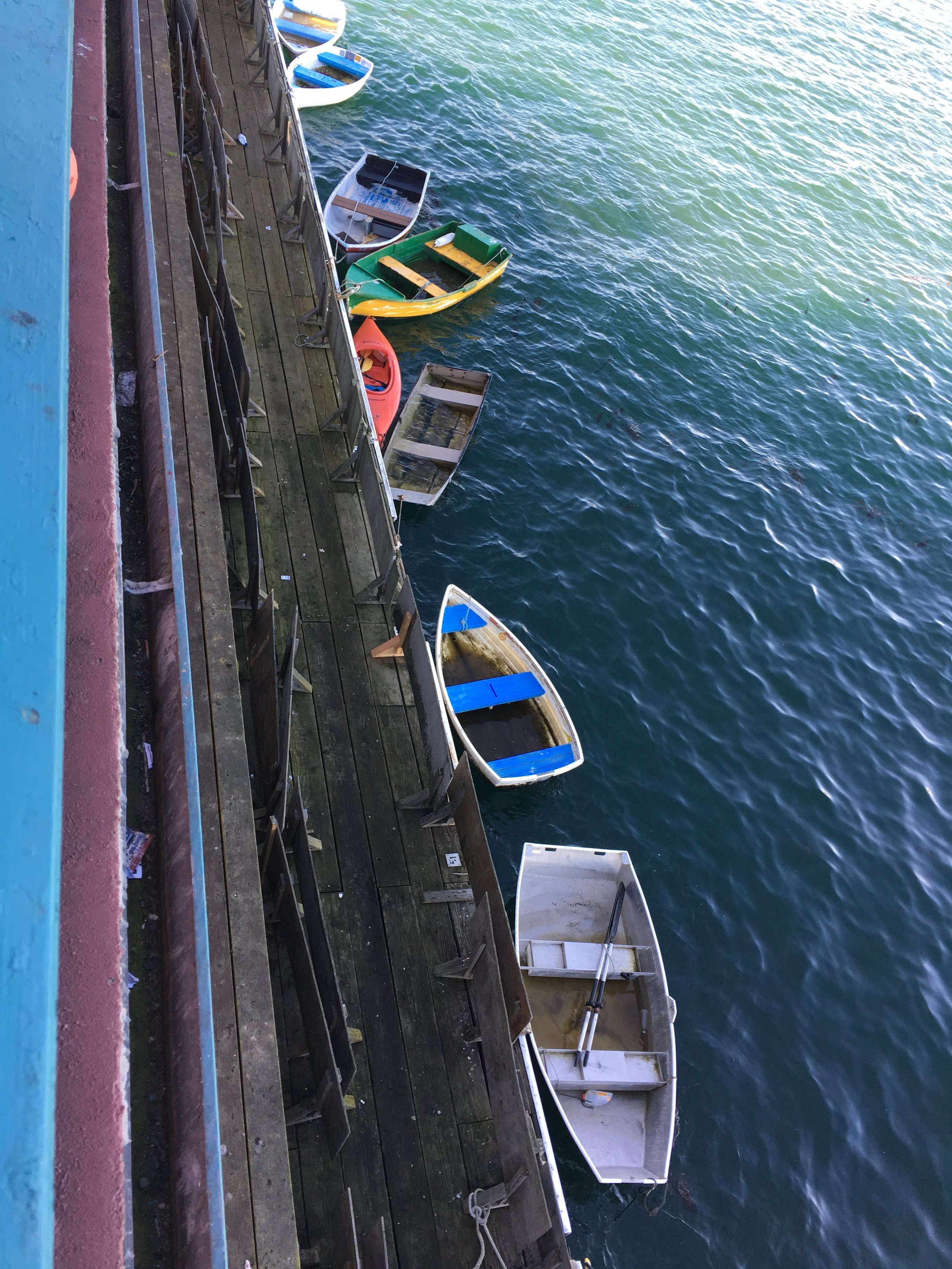 elashyu_photography_carmelbythesea_007.jpg